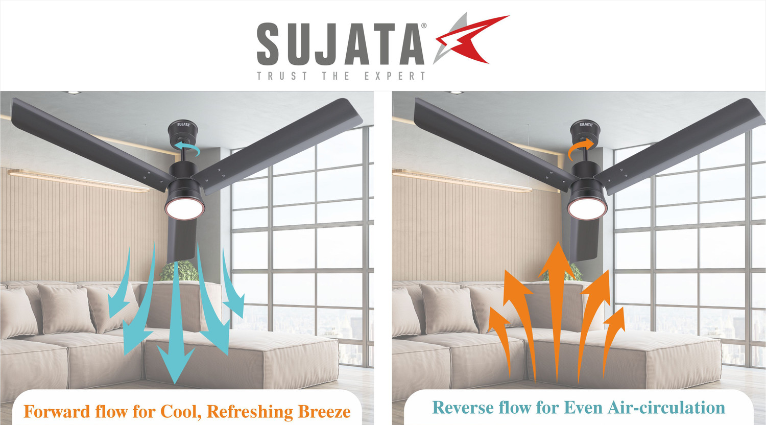 Image of SUJATA Lin Aer Ceiling Fan with Remote | BLDC Ceiling Fan 1200mm | 60% Energy Savings with 3 Year Warranty Underlight 1200 mm Ceiling Fan (5 Star | Grey | Pack of 1)