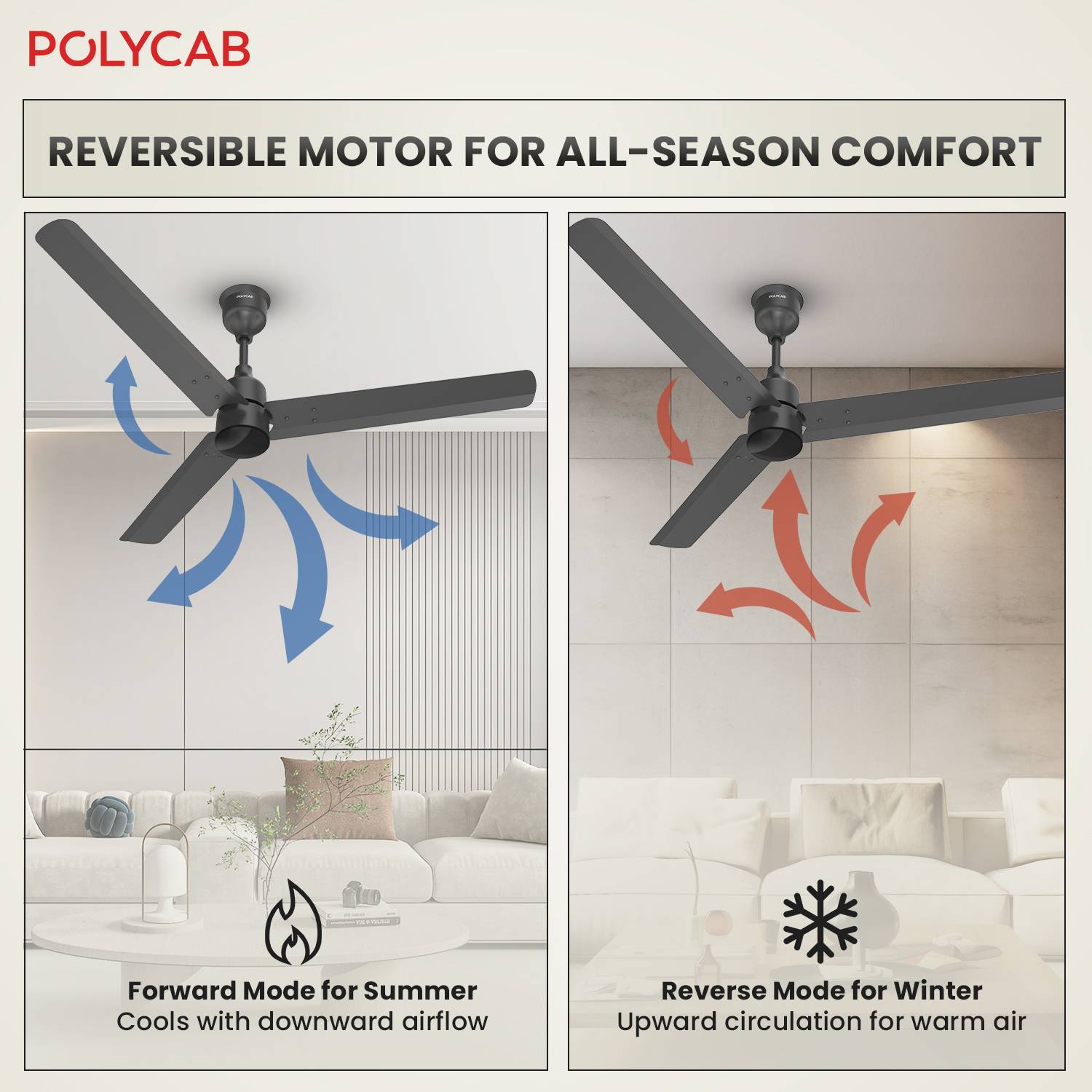 Polycab Wizzy Plus 1200mm Ceiling Fan - Image 4