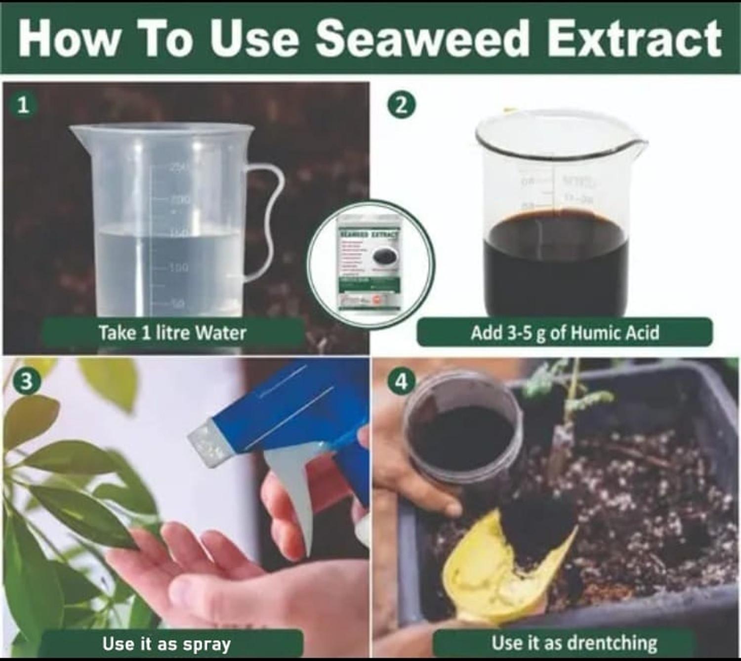 Image of Bio Research Center Seaweed Extract Powder | 100% Pure Organic Fertilizer for Strong Roots Organic Fertilizer