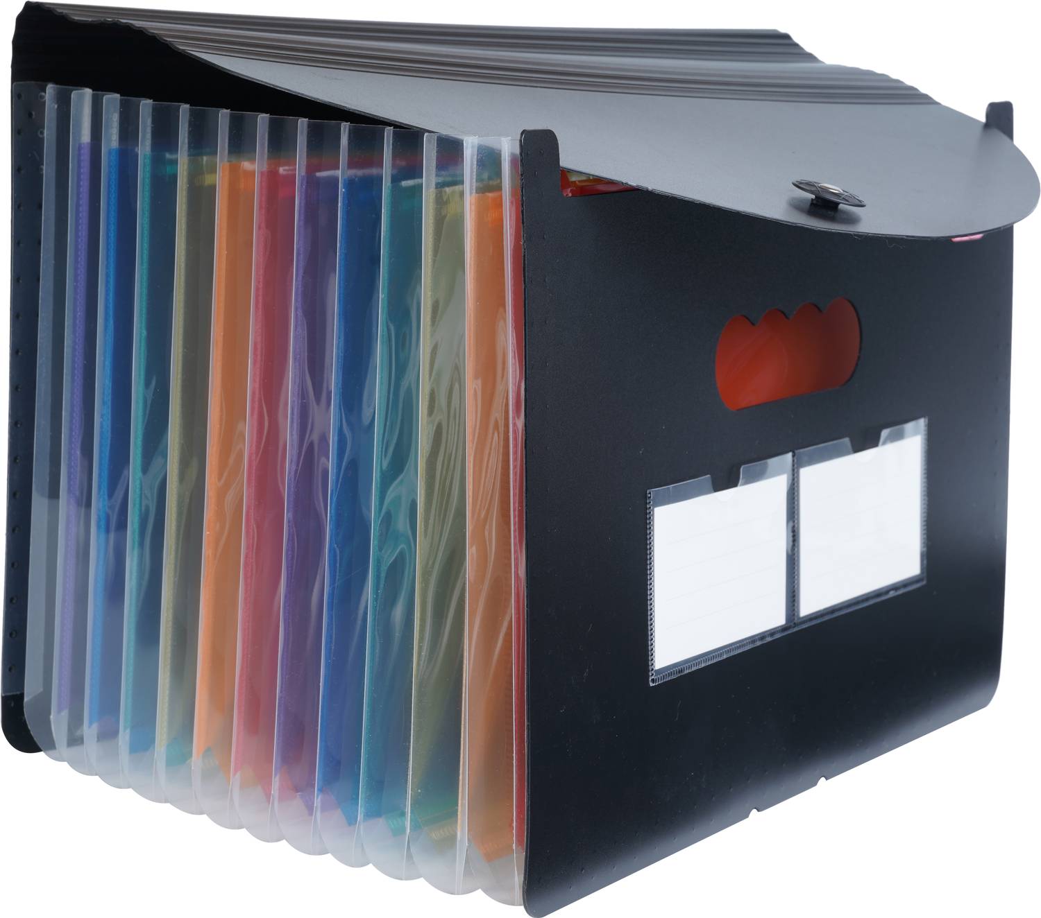 BRuSTRO EZ Expand A4 Folder 13 Pocket Expanding File Folder, Accordion Document Organizer for School, Home & Office