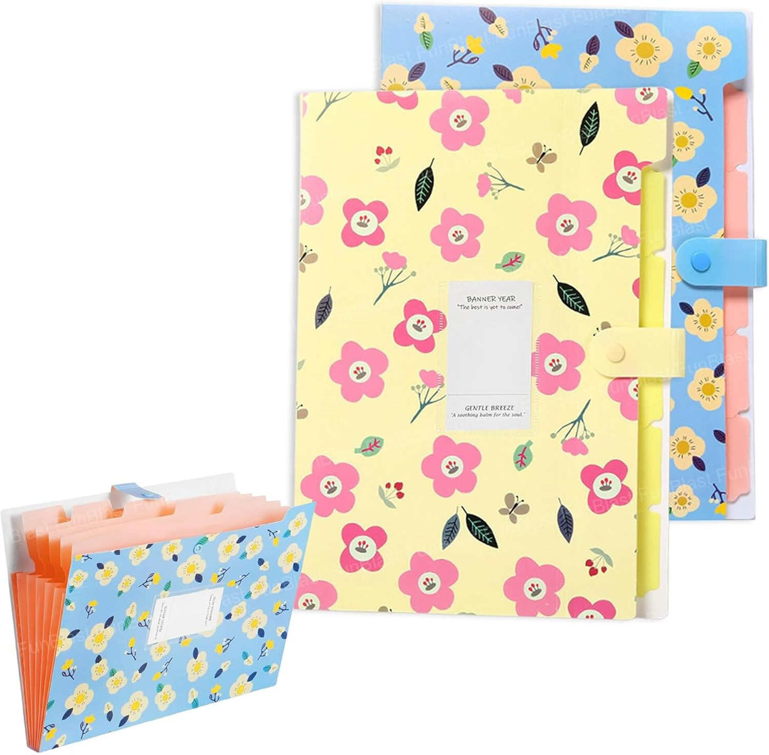Image of FunBlast Plastic File Folder with Button Lock - Floral Print A4 Size Certificate Holder with 6 Pockets,Expandable Document Organizer