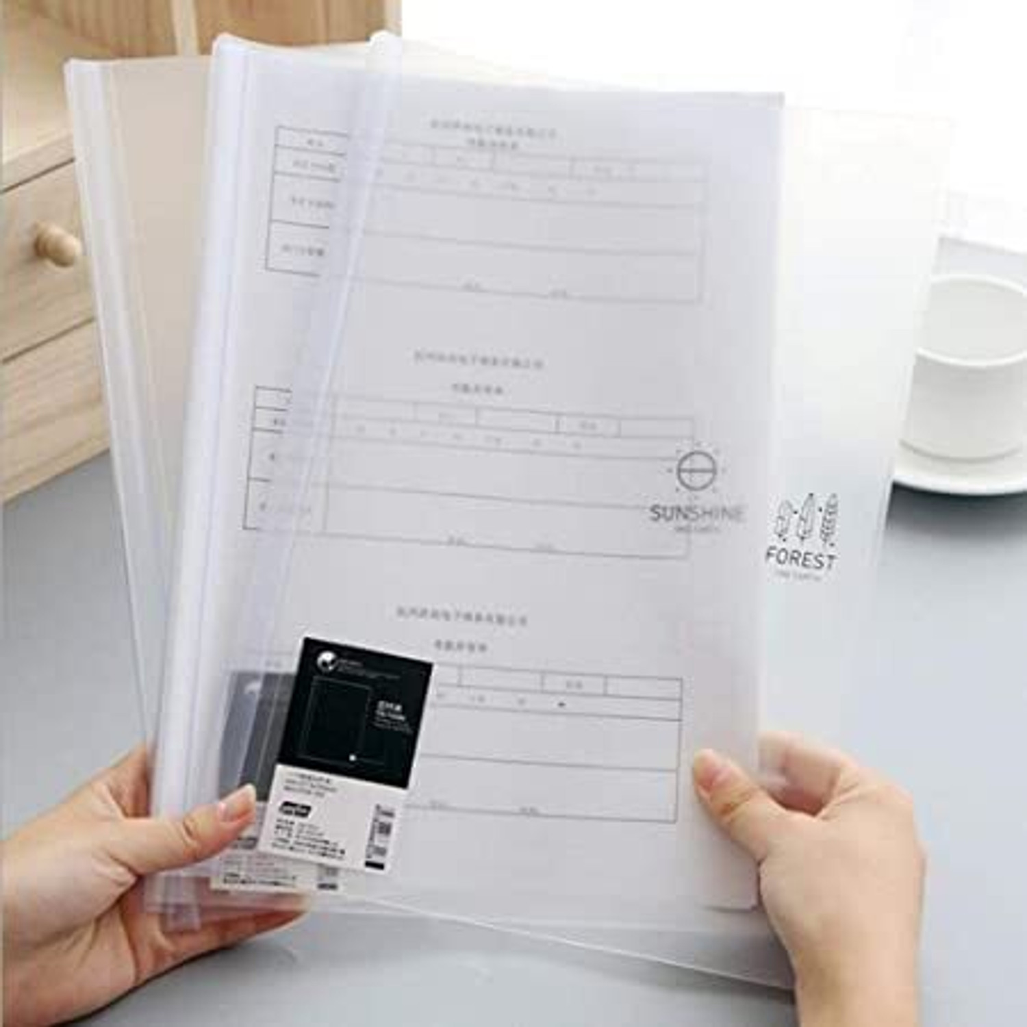 Image of Neel Plastic Transparent Stick File Folder Set-1 for A4 Paper Holder Storage Case Organizer
