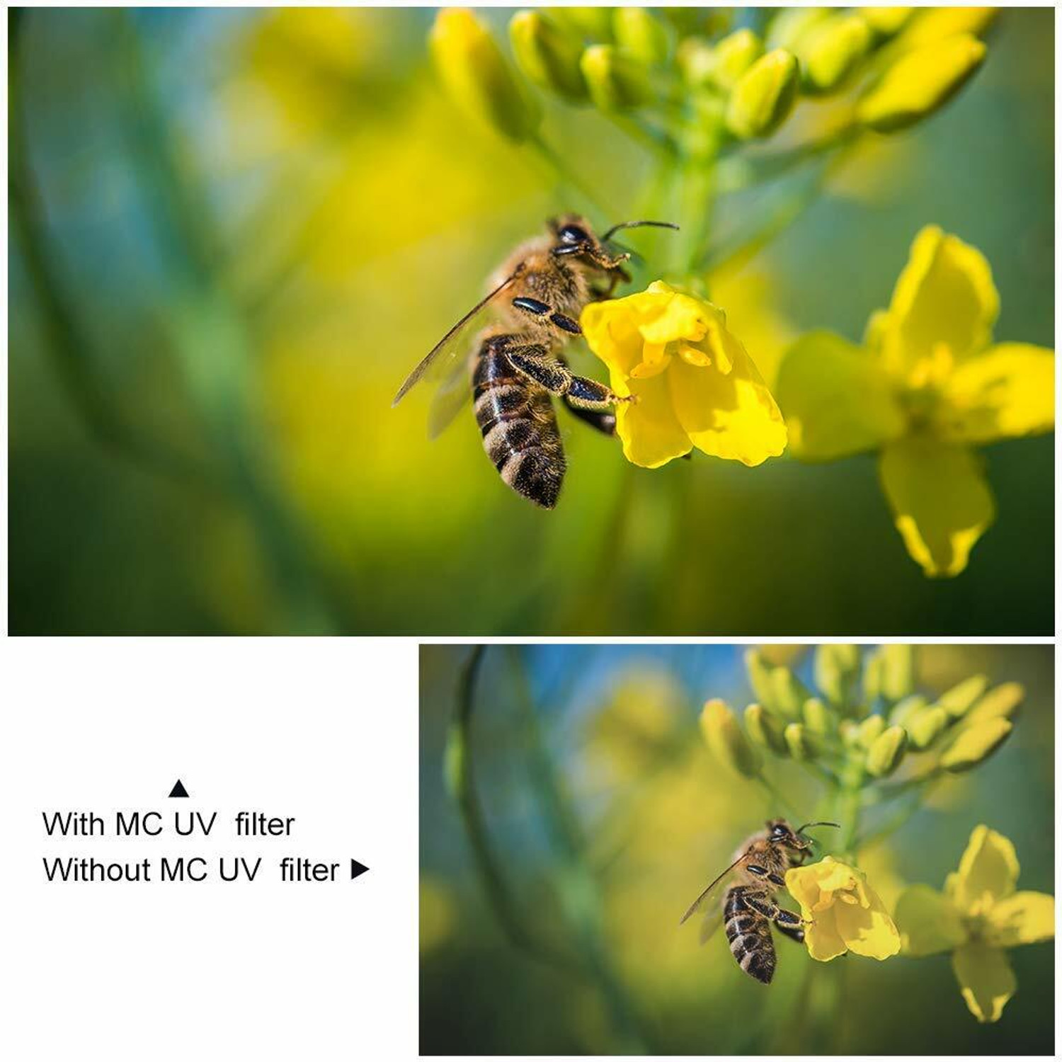 Image of K&F Concept 55MM MC UV Protection Filter Slim Frame with Multi-Resistant Coating for Camera Clear Filter