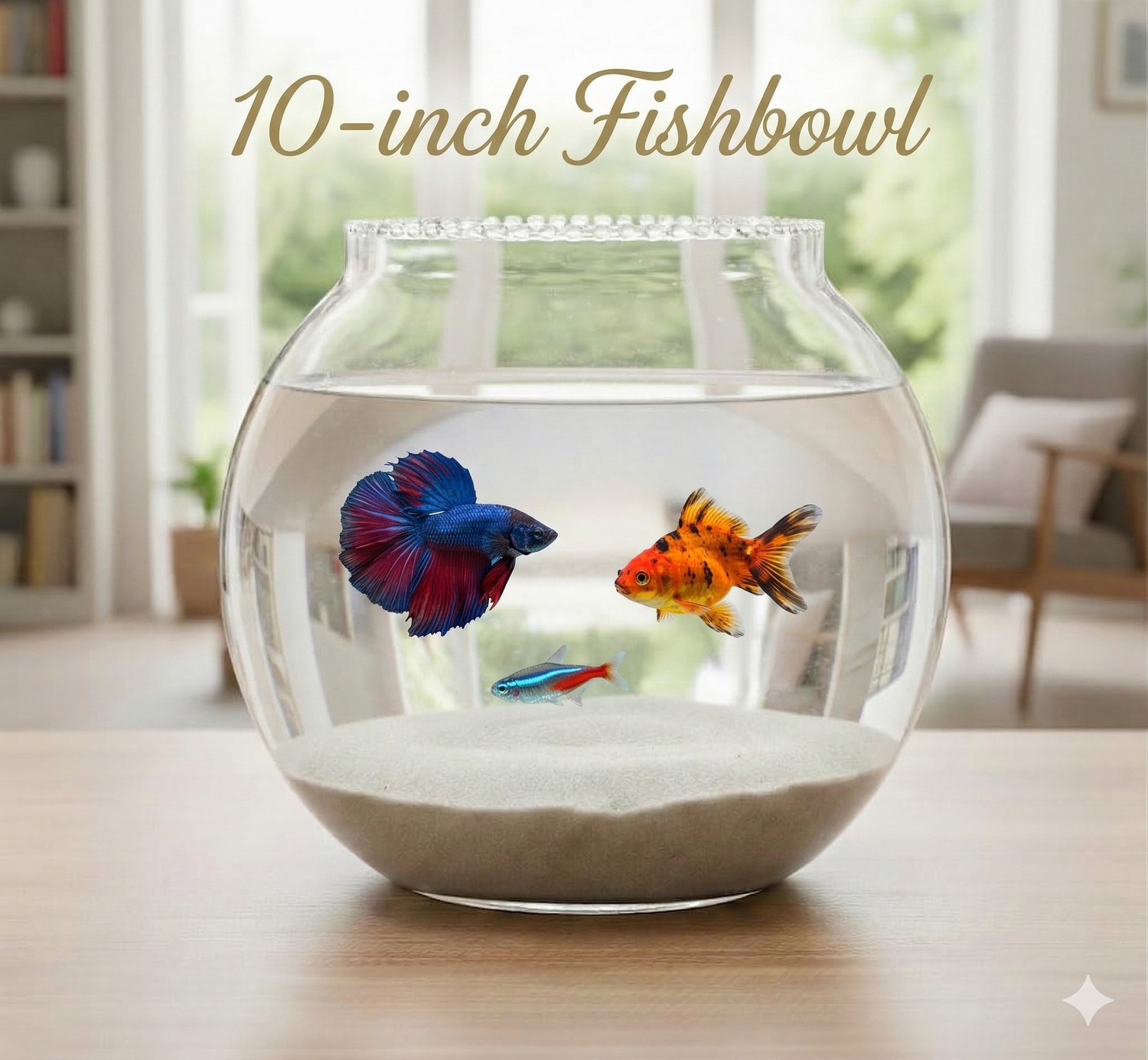 Image of SHIVWORLD 10 inch Fish Bowl