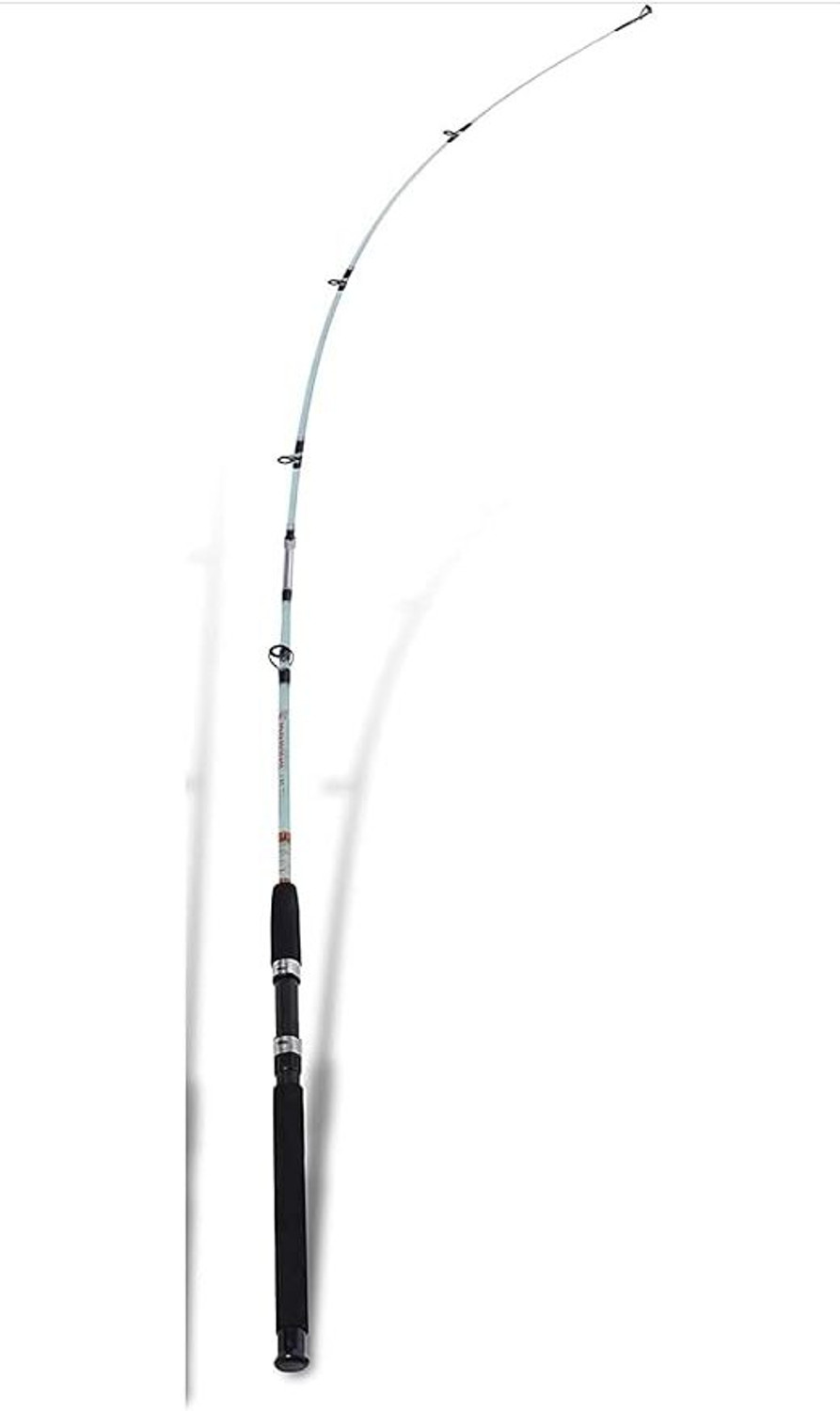 Image of ezzy Solid Section 8 Feet 2-Piece Detachable Spinning Rod, Durable, Lightweight New Supersolid8ft001 White Fishing Rod