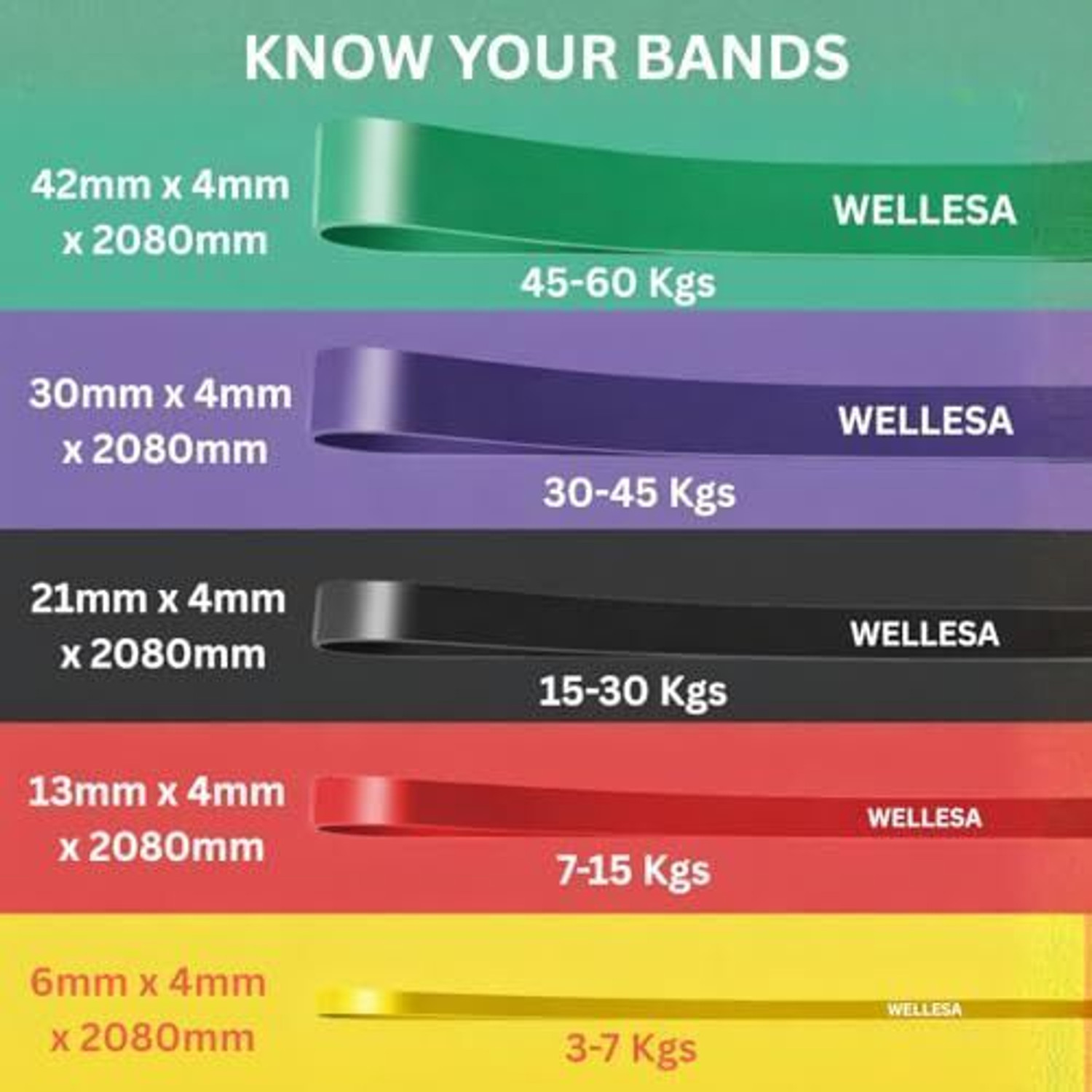 Image of Wellesa Heavy Resistance Band Set For Stretching, Home Workout Bands for Men & Women Fitness Band