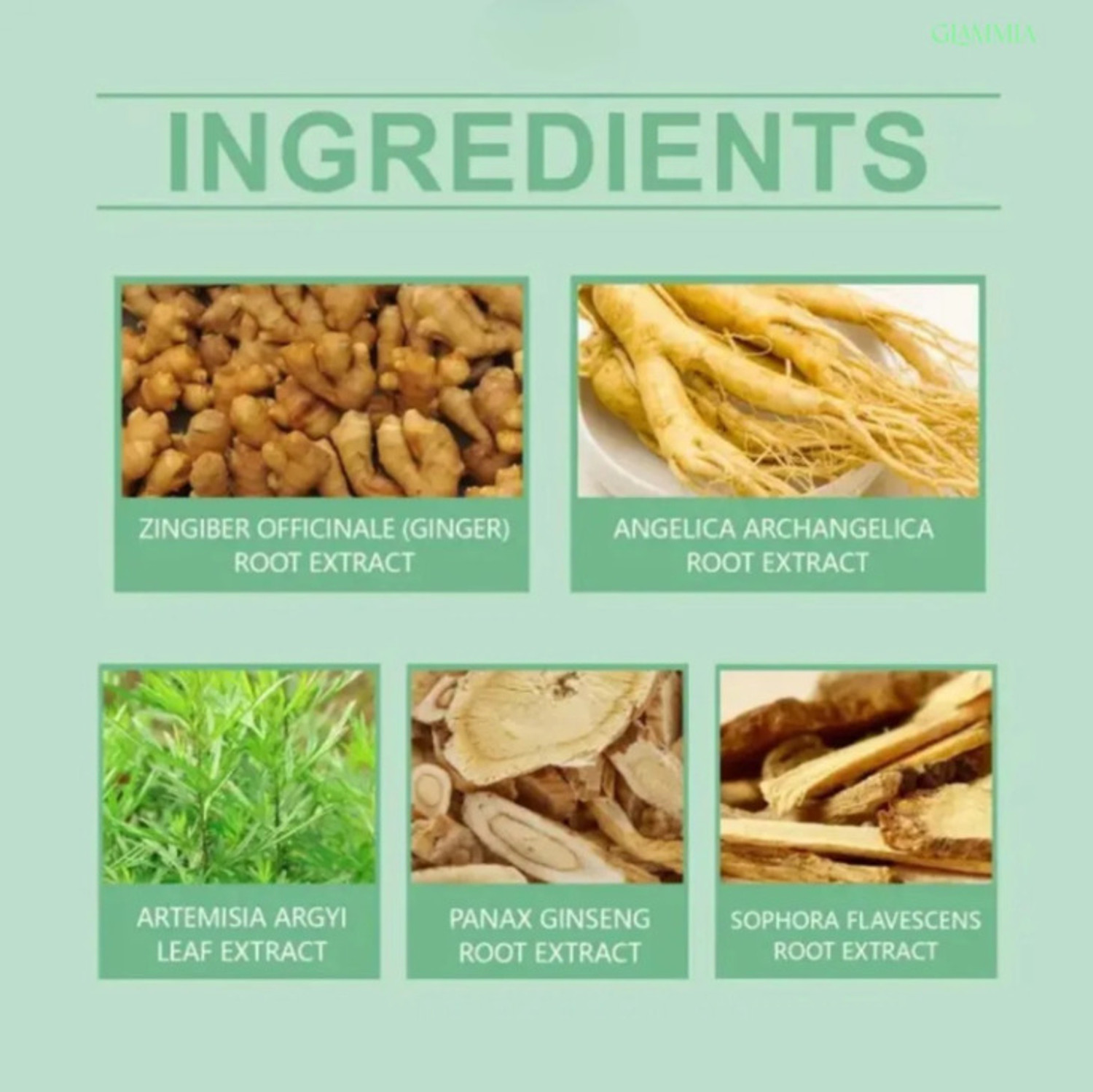 Image of Morviyan Foot Pads Weight Loss | Foot Pads | Complete Care for Daily Detox Wellness Care