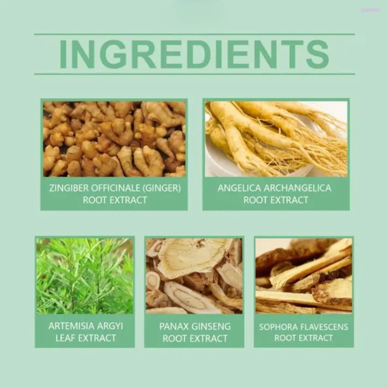 Image of CHIWA Ginger Foot Patch | Revitalizing Therapy For Comfort Restore