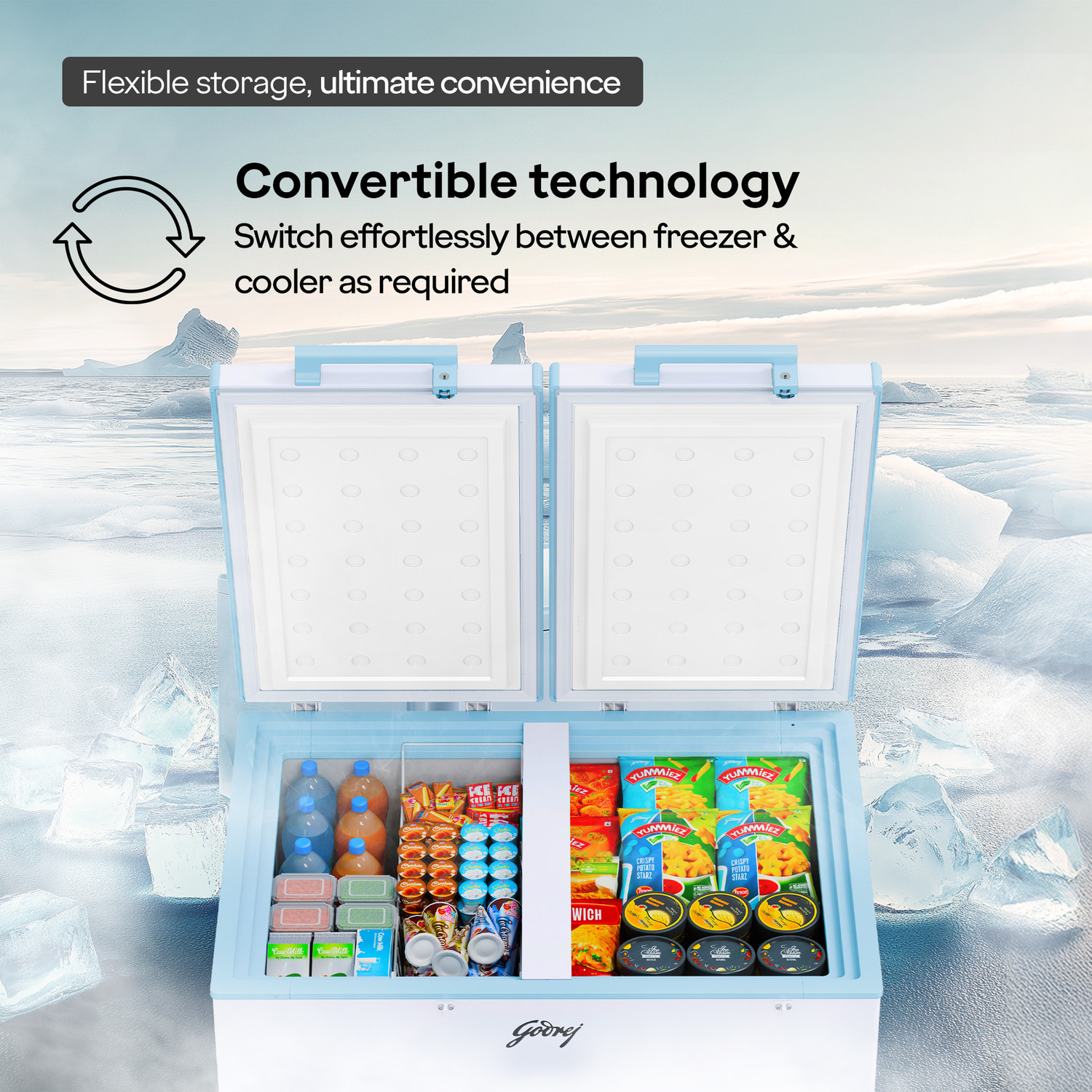 Image of Godrej 302 L Double Door Standard Deep Freezer