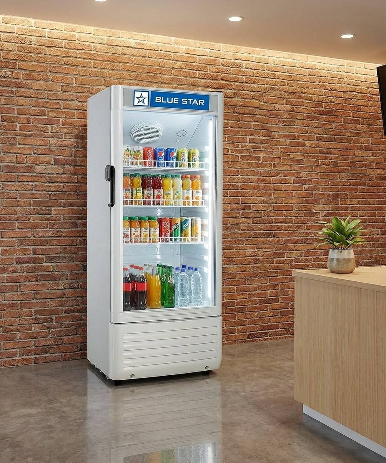 SUPER STAR FORTH / 八卦商会 Blue Star 220 L Single Door Upright Freezer Price in India - Buy