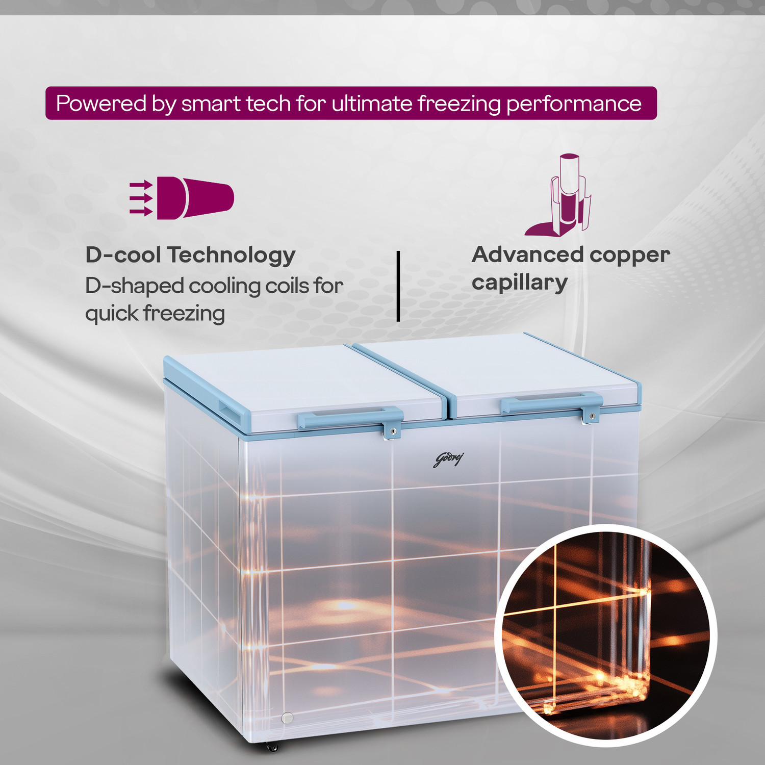 Image of Godrej 302 L Double Door Standard Deep Freezer