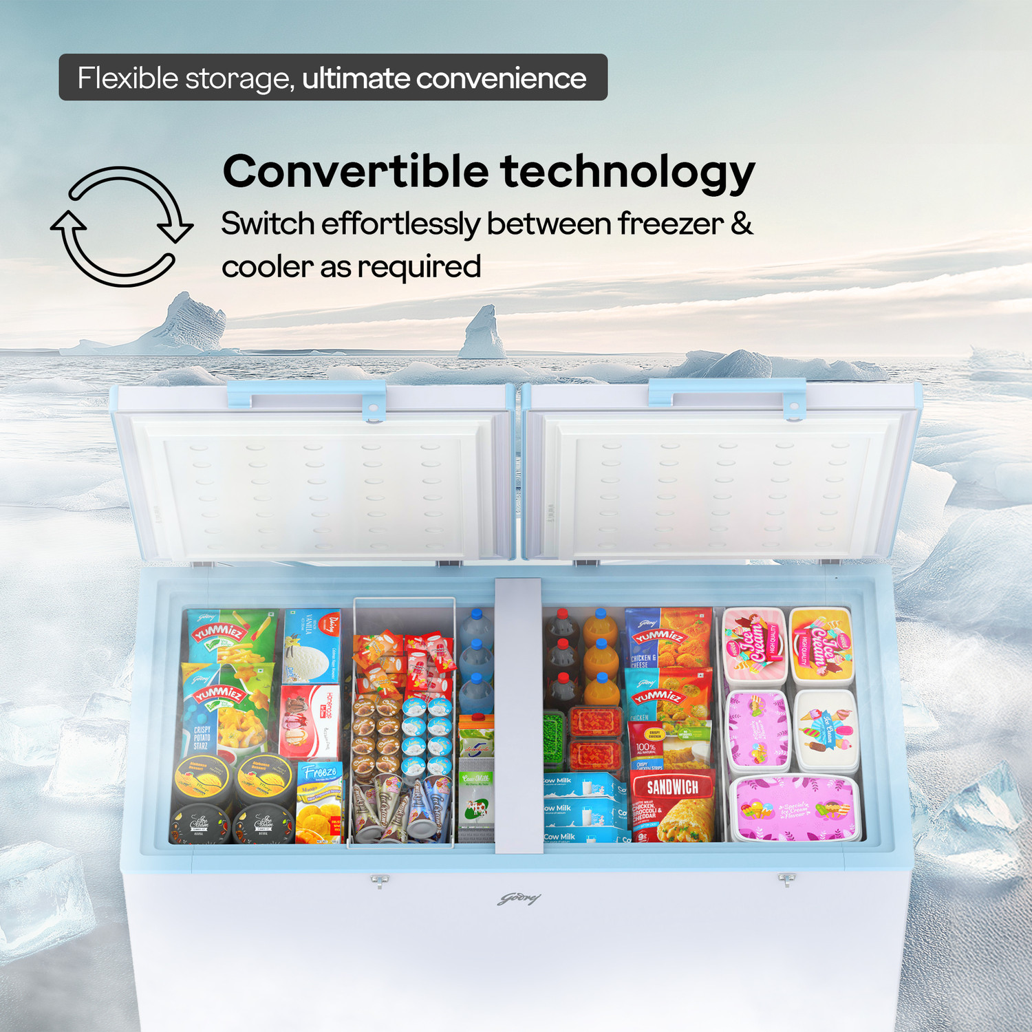 Image of Godrej 505 L Double Door Standard Deep Freezer
