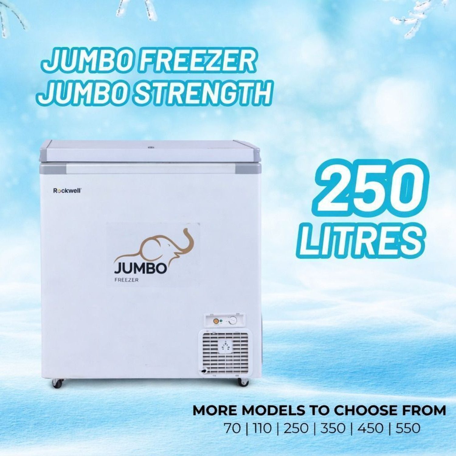 Image of Rockwell 250 L Single Door Standard Deep Freezer