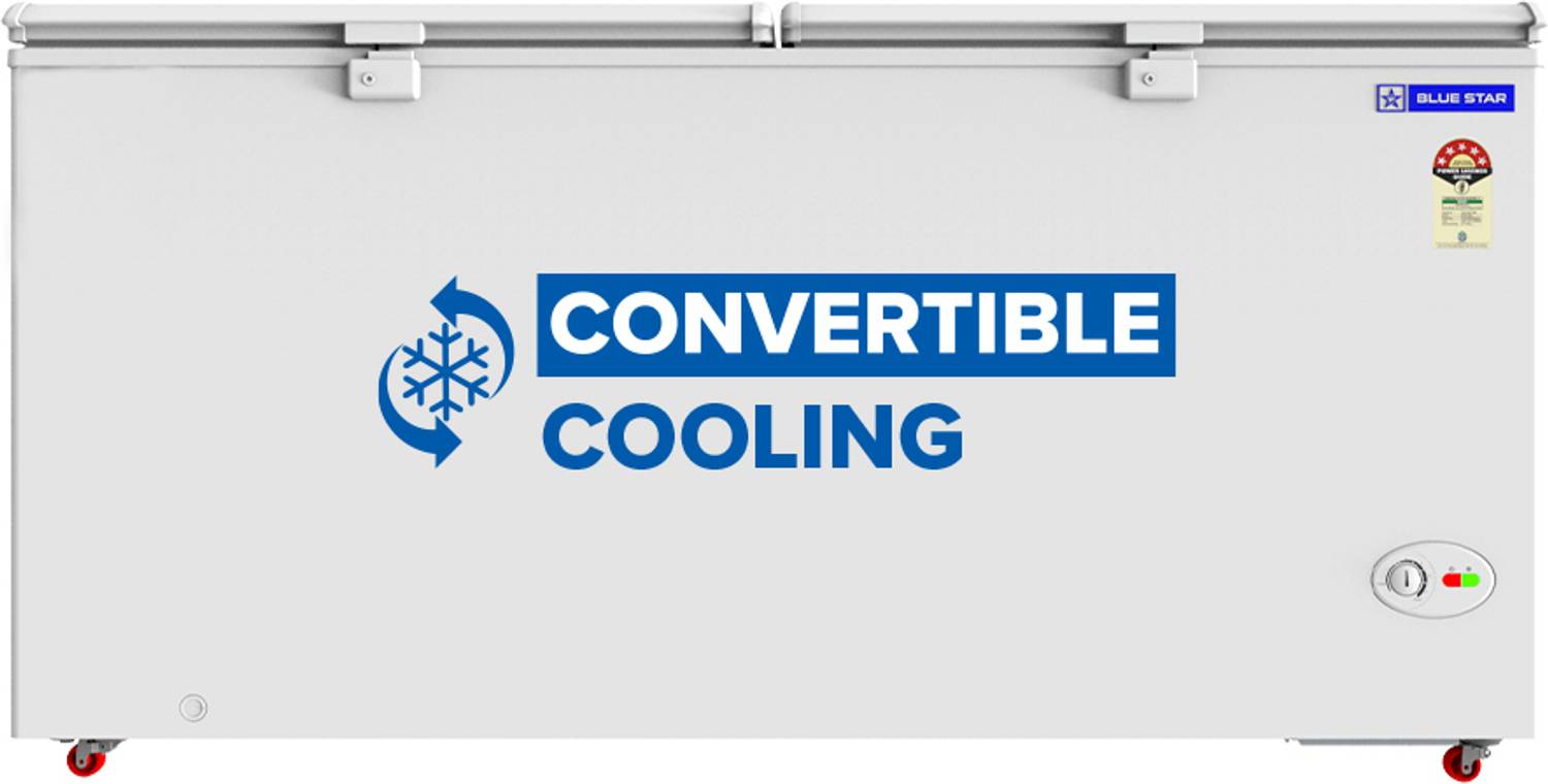 Blue Star 515 L Double Door Deep Freezer - Image 1