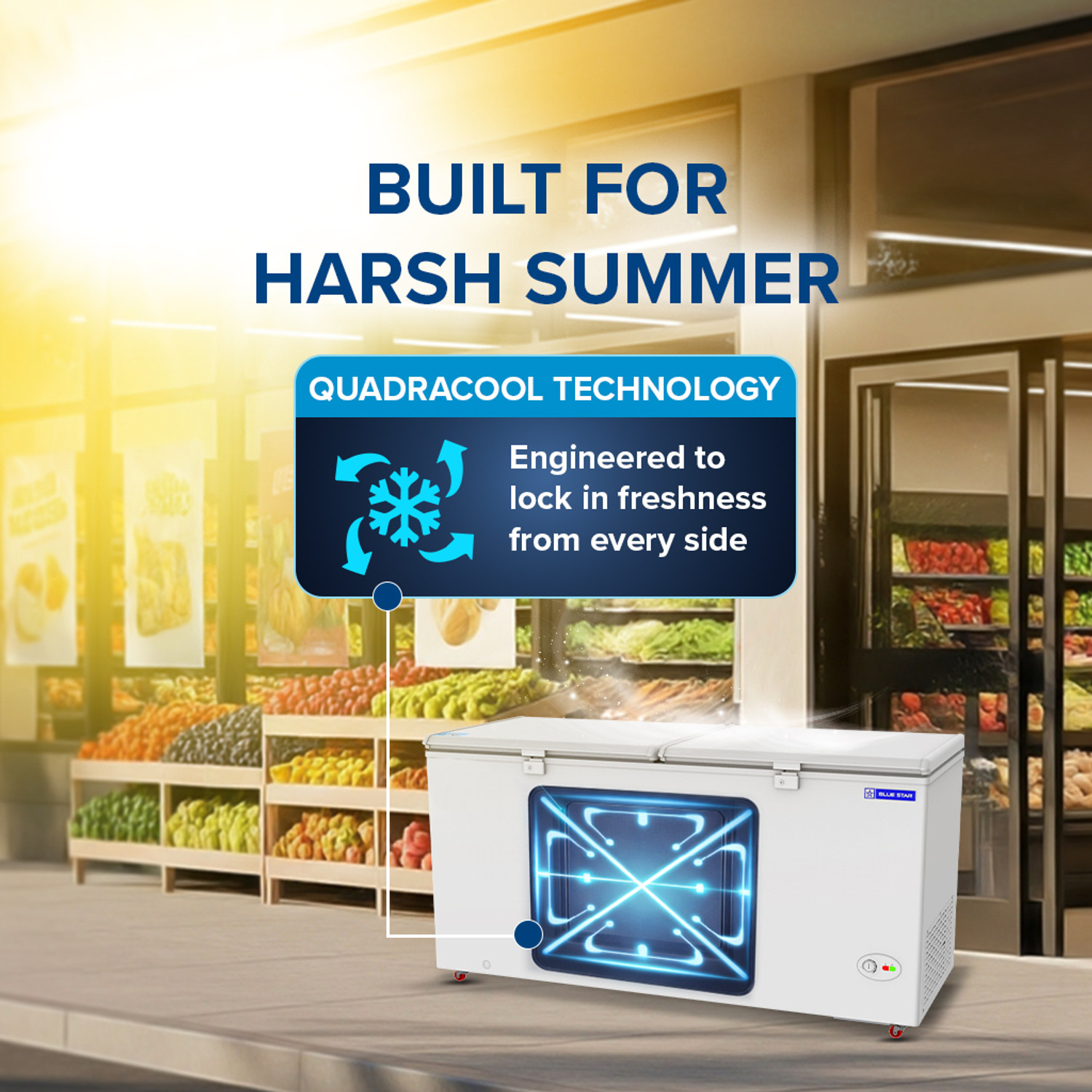 Image of Blue Star 515 L Double Door Standard Deep Freezer