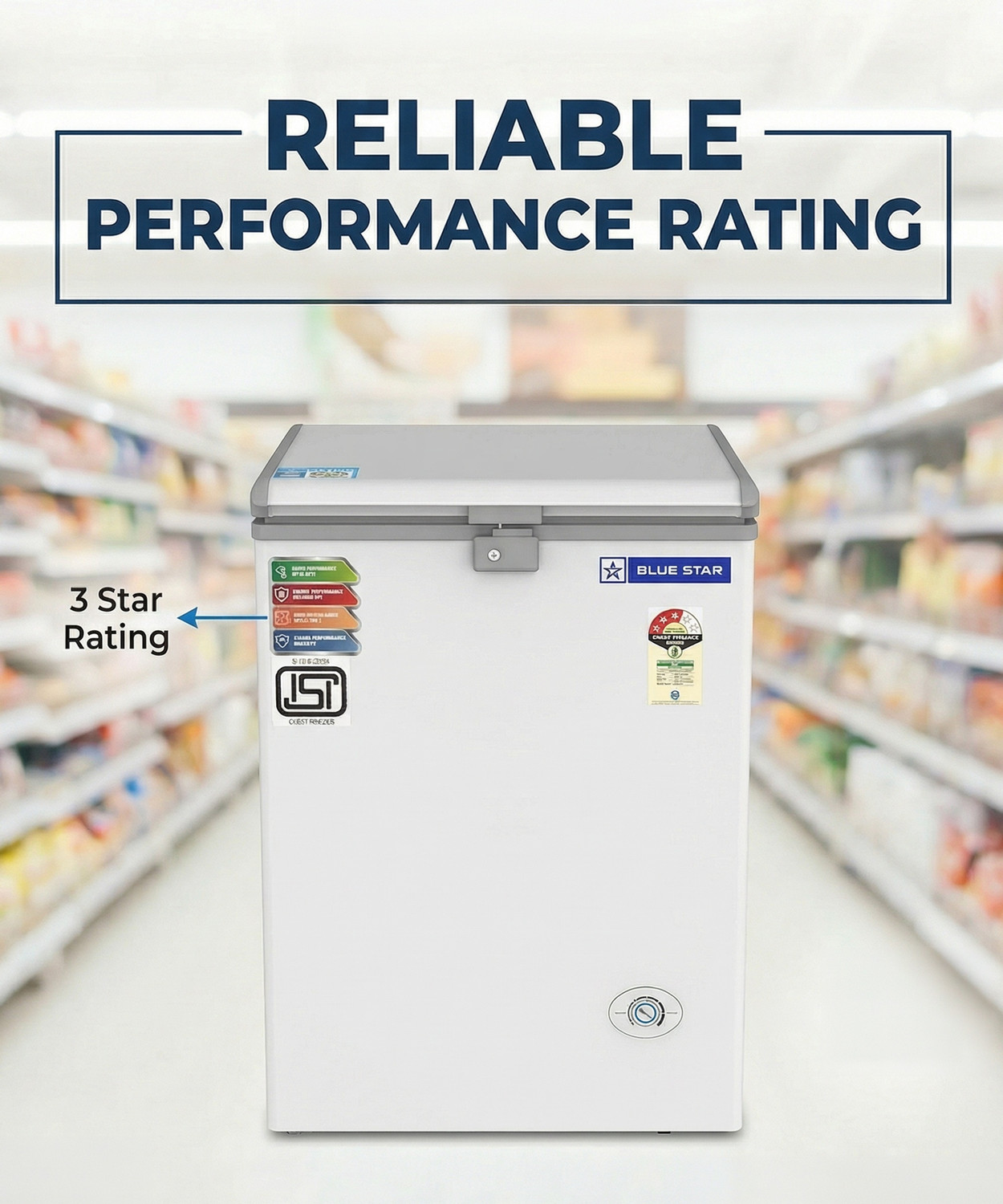 Image of Blue Star 108 L Single Door Standard Deep Freezer