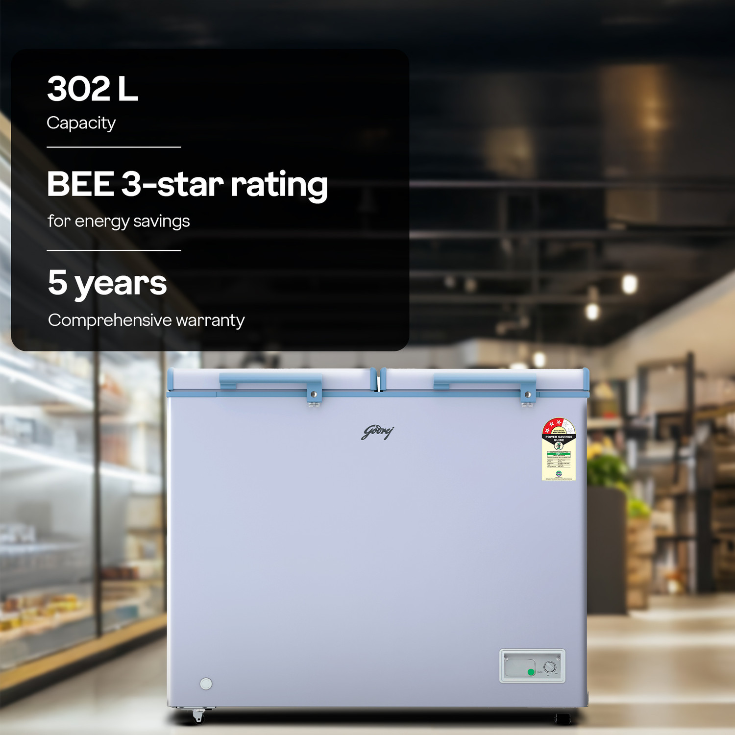 Image of Godrej 302 L Double Door Standard Deep Freezer