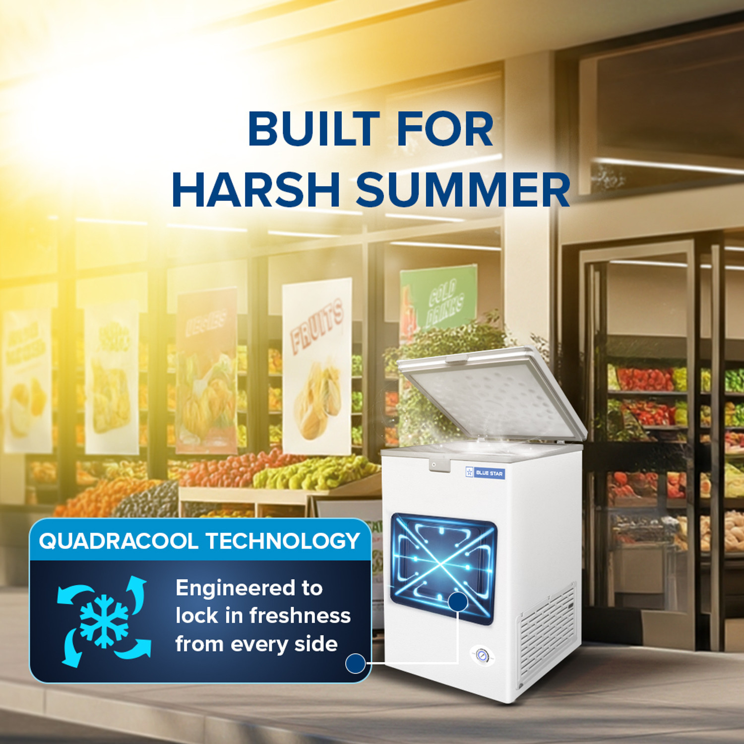 Image of Blue Star 108 L Single Door Standard Deep Freezer