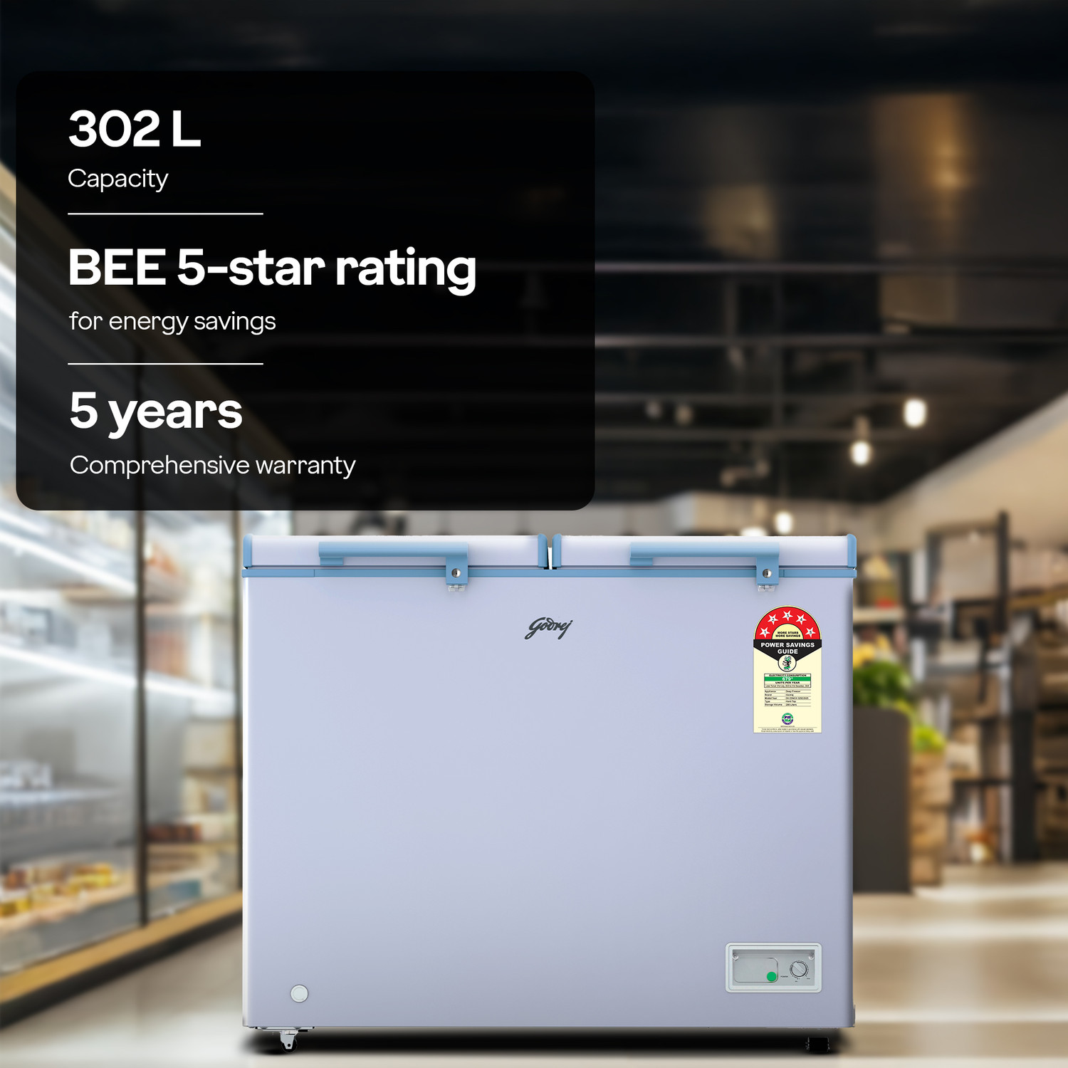 Image of Godrej 302 L Double Door Standard Deep Freezer