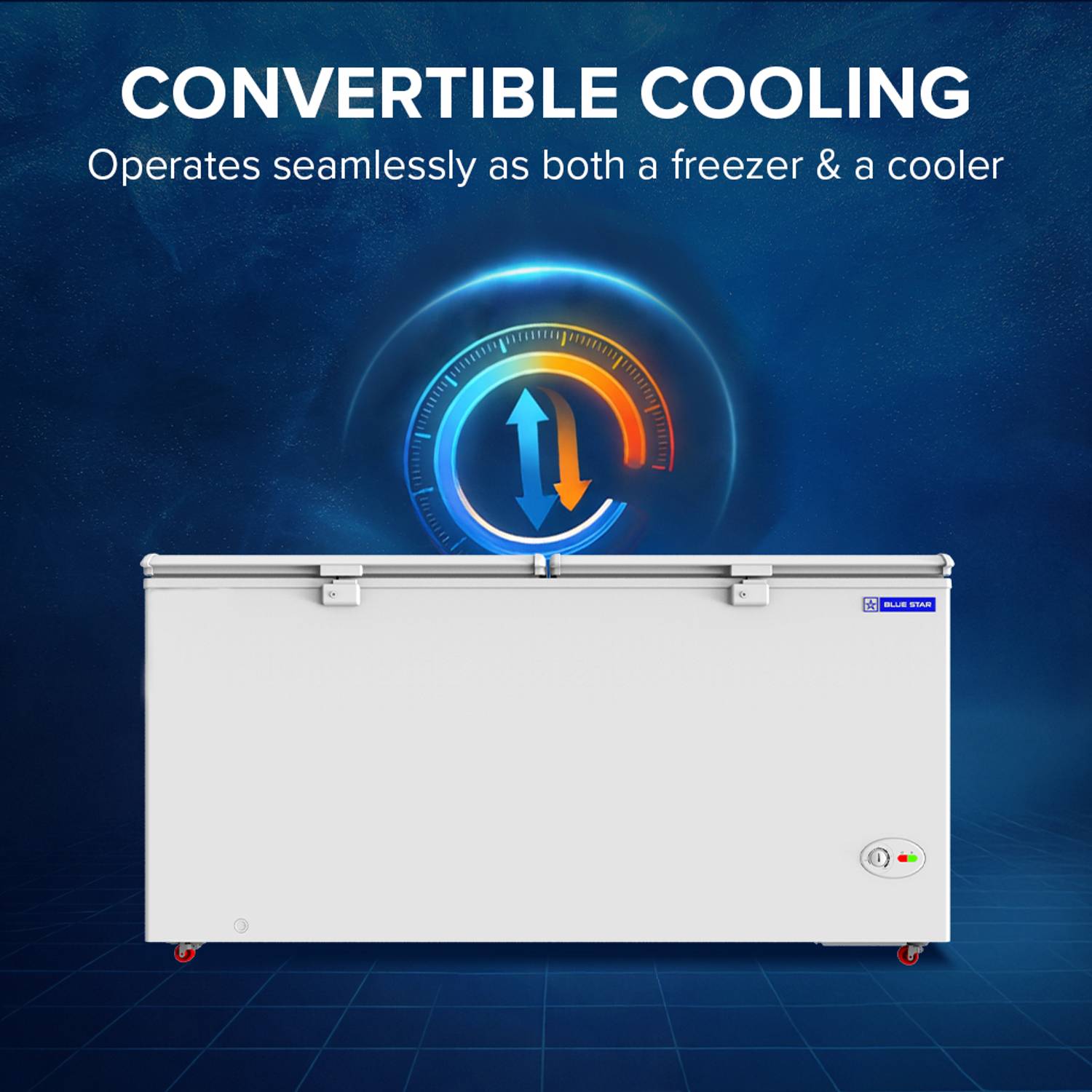 Blue Star 515 L Double Door Deep Freezer - Image 2
