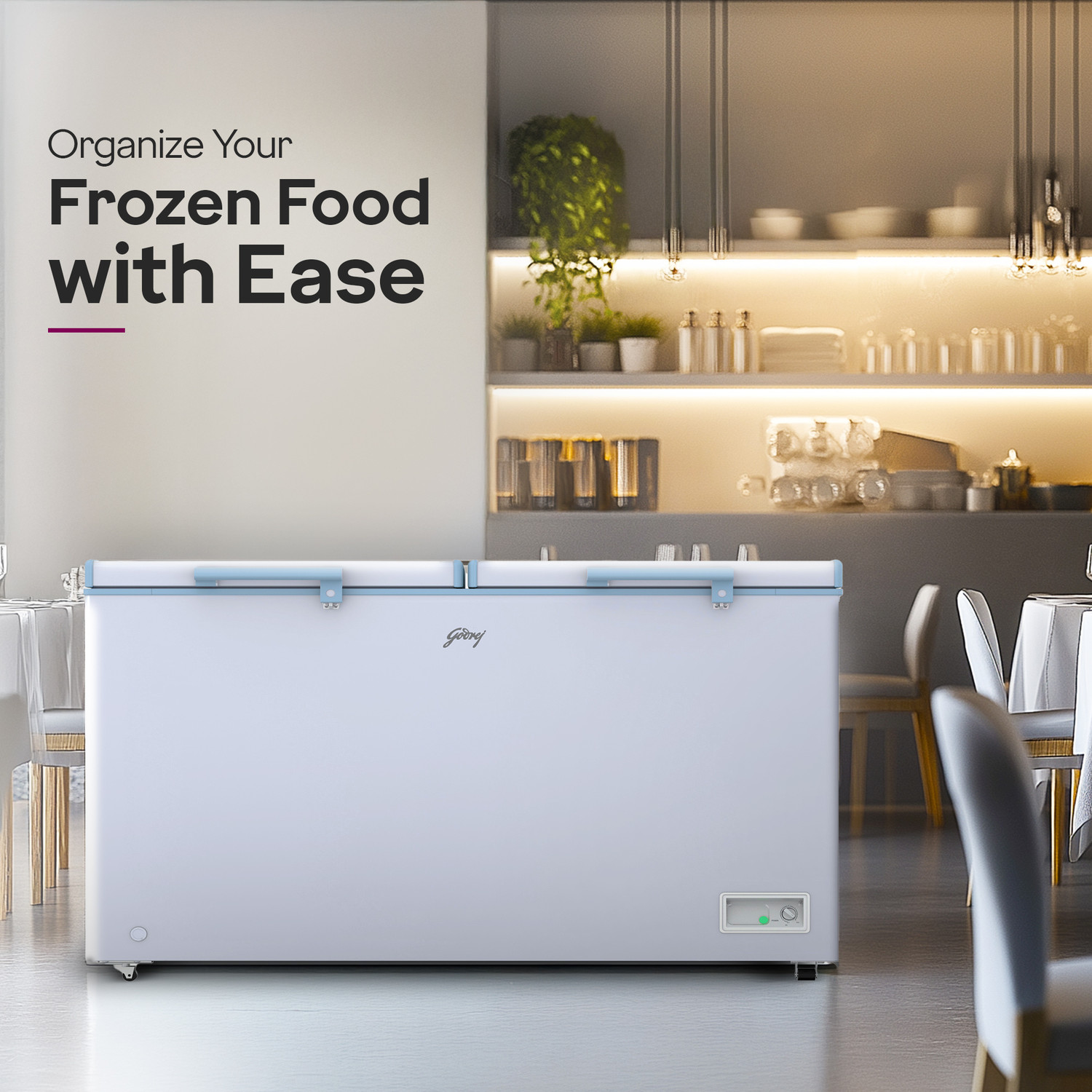 Image of Godrej 505 L Double Door Standard Deep Freezer