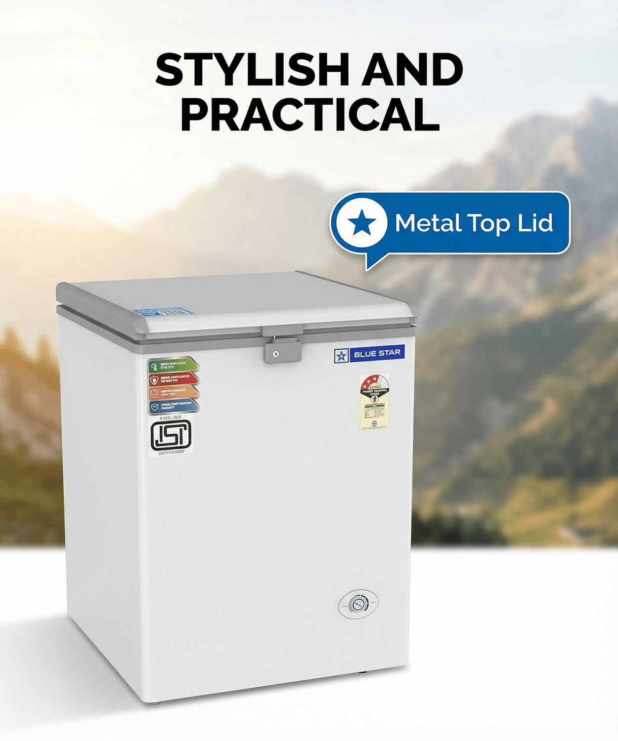 Image of Blue Star 108 L Single Door Standard Deep Freezer