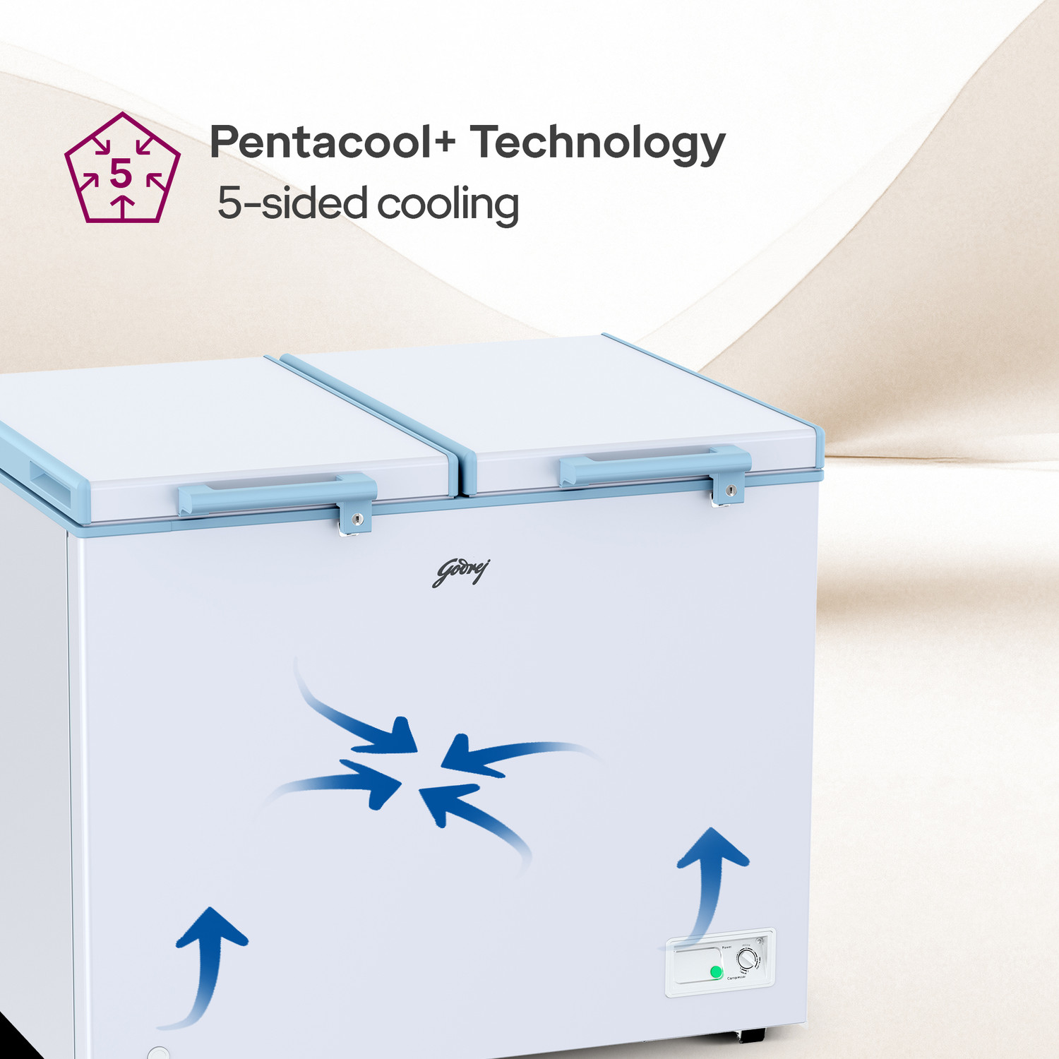 Image of Godrej 302 L Double Door Standard Deep Freezer