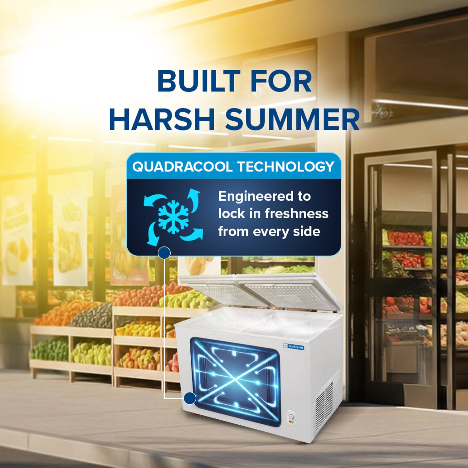 Blue Star 301 L Double Door Standard Deep Freezer Price in India