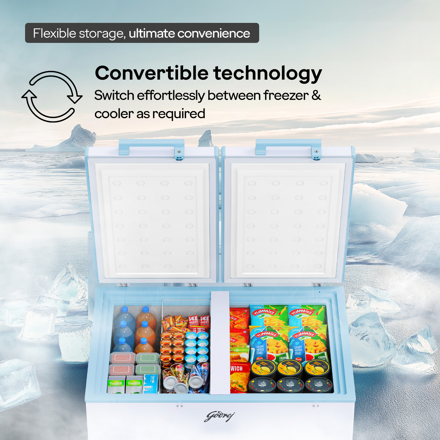 Image of Godrej 302 L Double Door Standard Deep Freezer