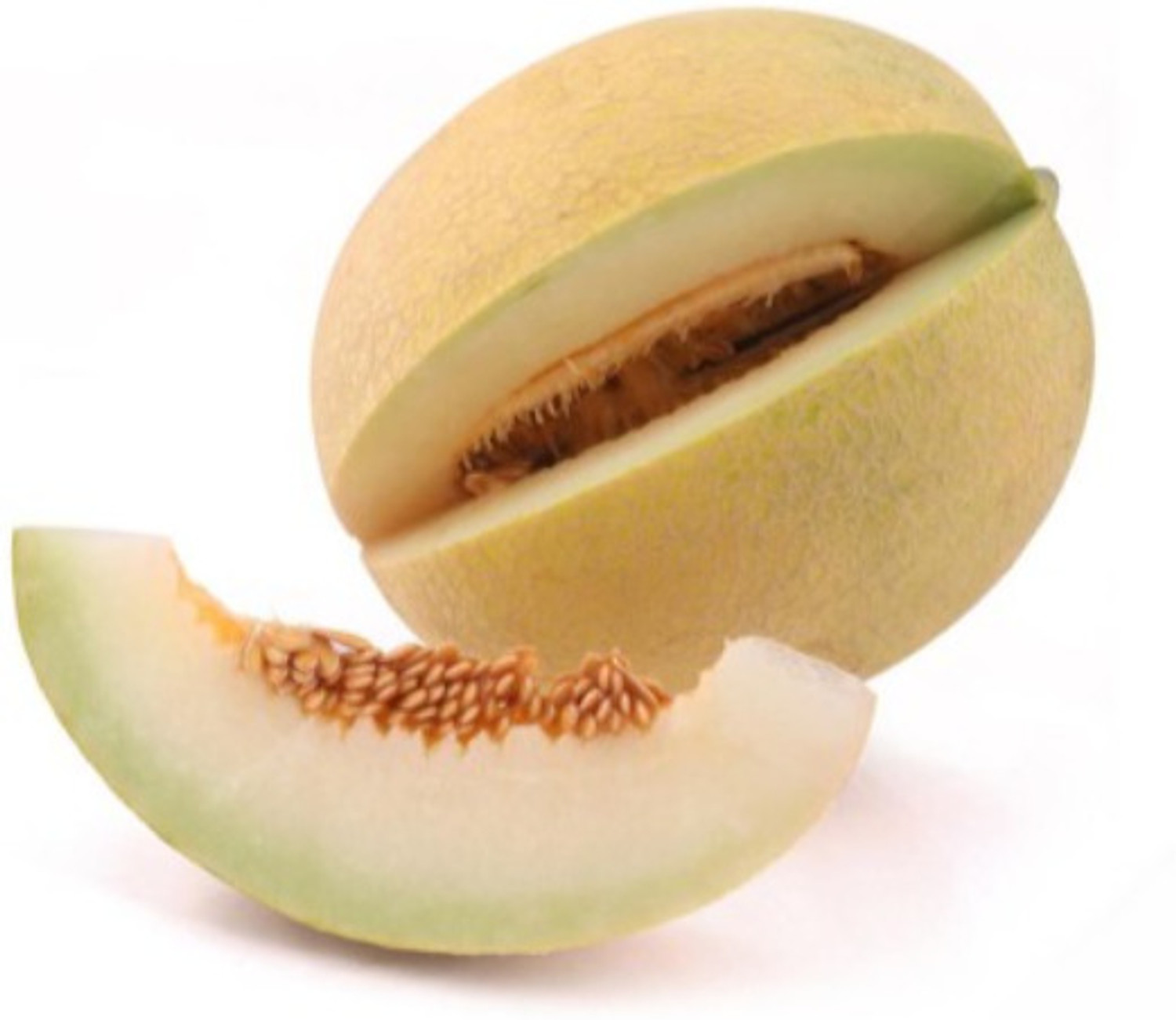 Image of Bobby Muskmelon