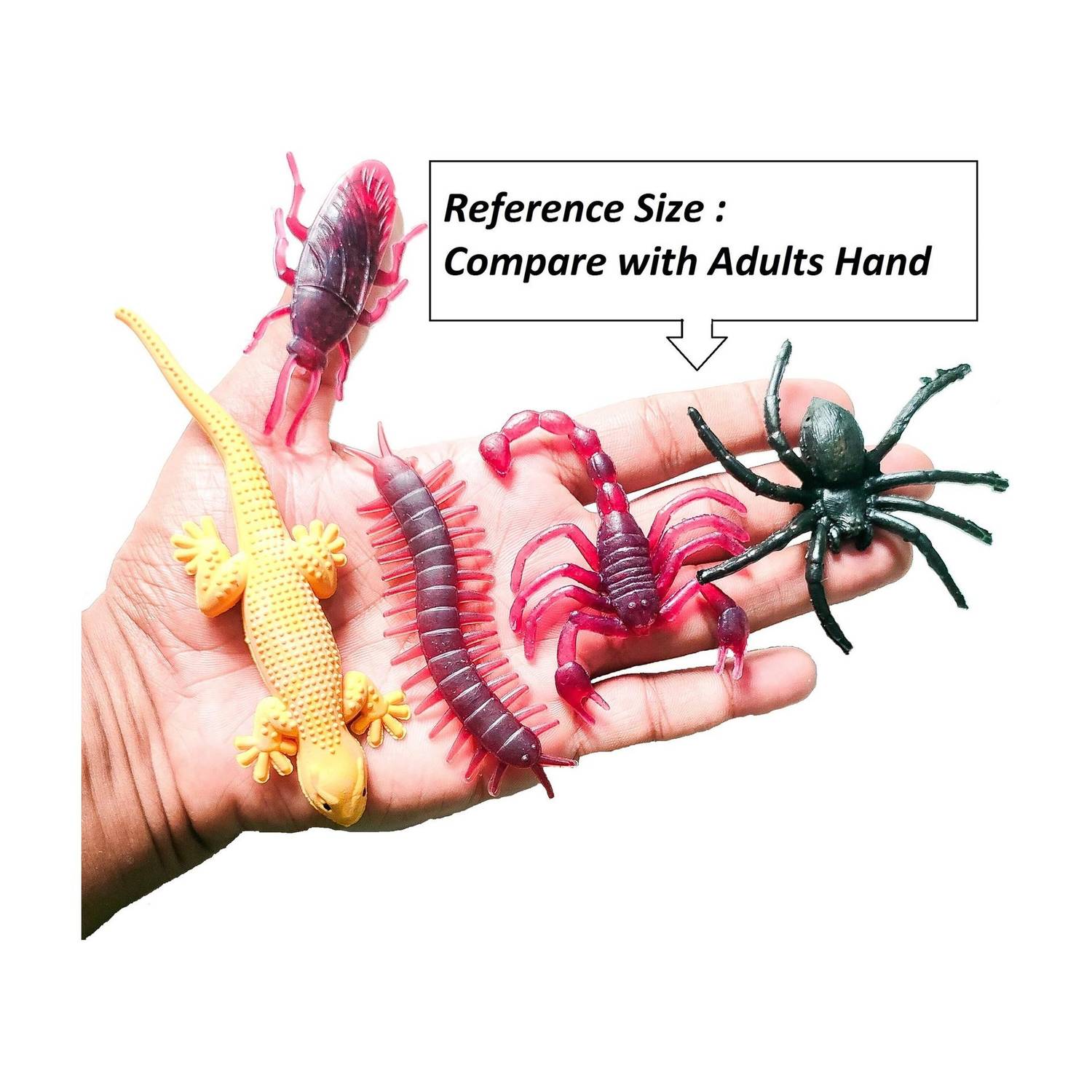 4GX Pack of 5 Fake Insects Trick Toys Practical Jokes and Prank Trick Toys Lizard, Cockroach, Spider, Kankhajura and Scorpion Real Looking Gag Toy