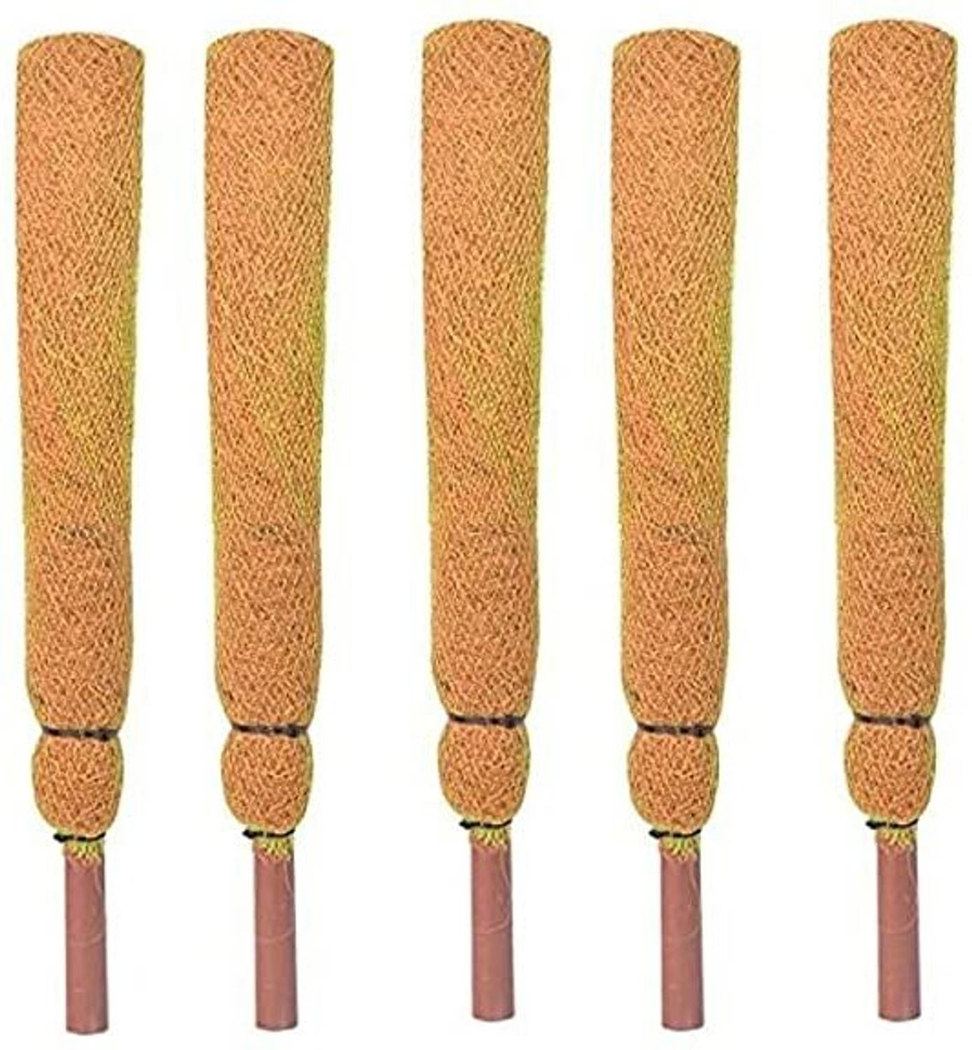ShriShyamGarden Coco Pole 3ft(91 cm)-5pc Coir Stick for Money Plant Support,Plant Creepers Garden Mulch