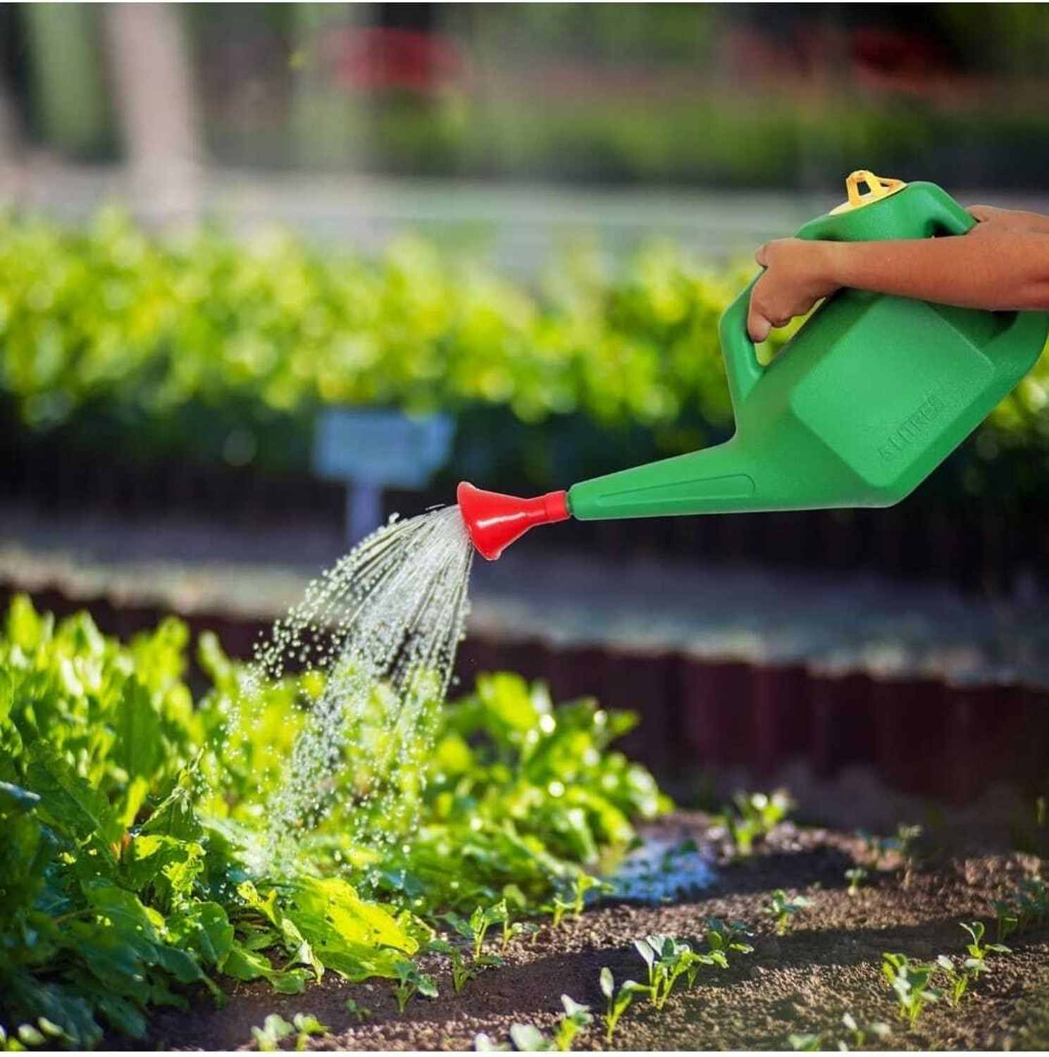 Image of ROOT TO LIFE GARDEN WATERING CAN FOR PLANTS WITH HIGH GRADE PLASTIC | HAZARA FOR PLANTS - 5 L Water Cane