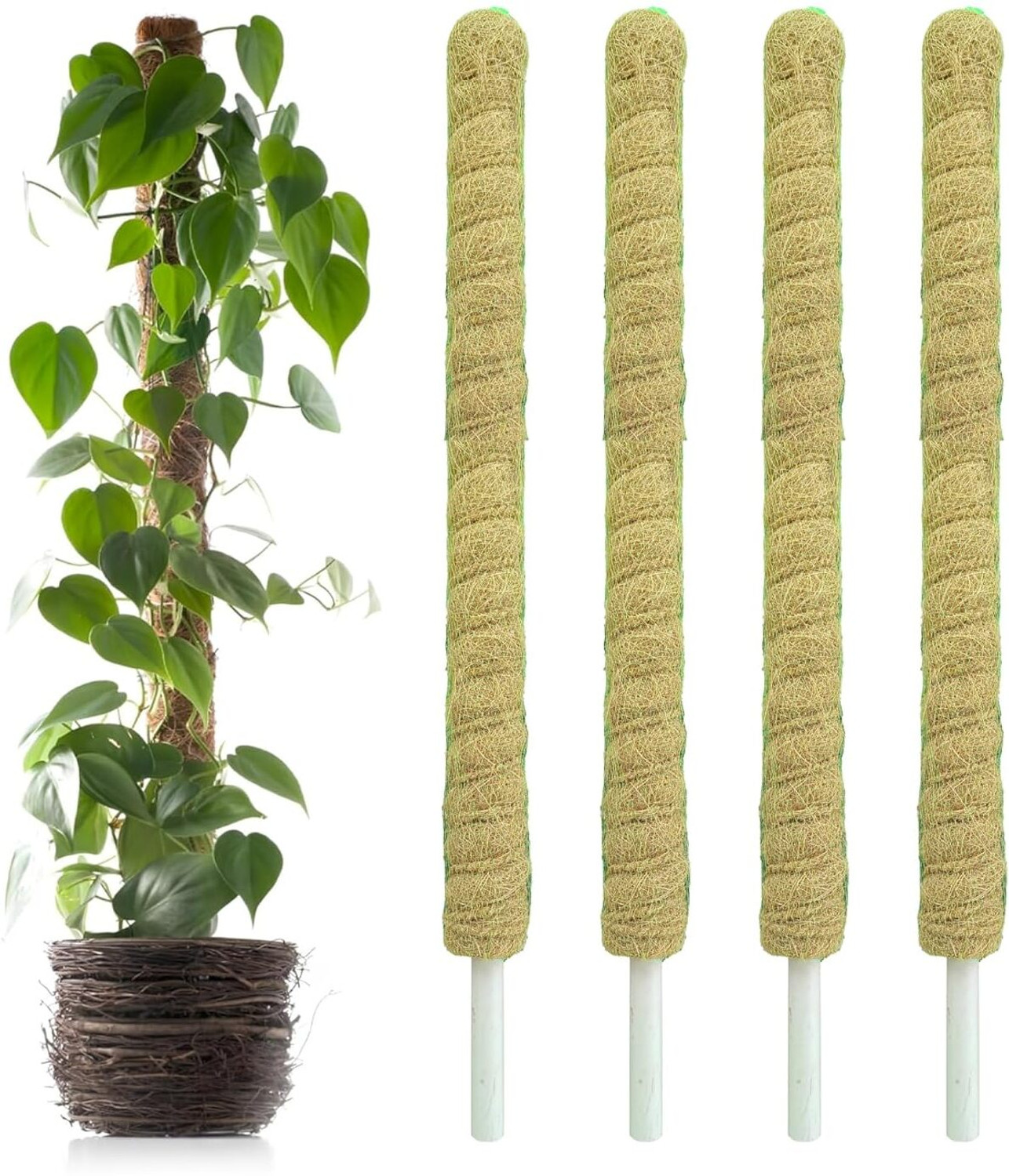 VIDA DE JARDIN Natural 3 Feet Moss Stick for Climbing Plants, Strong Support for Plant use Plant Straightener
