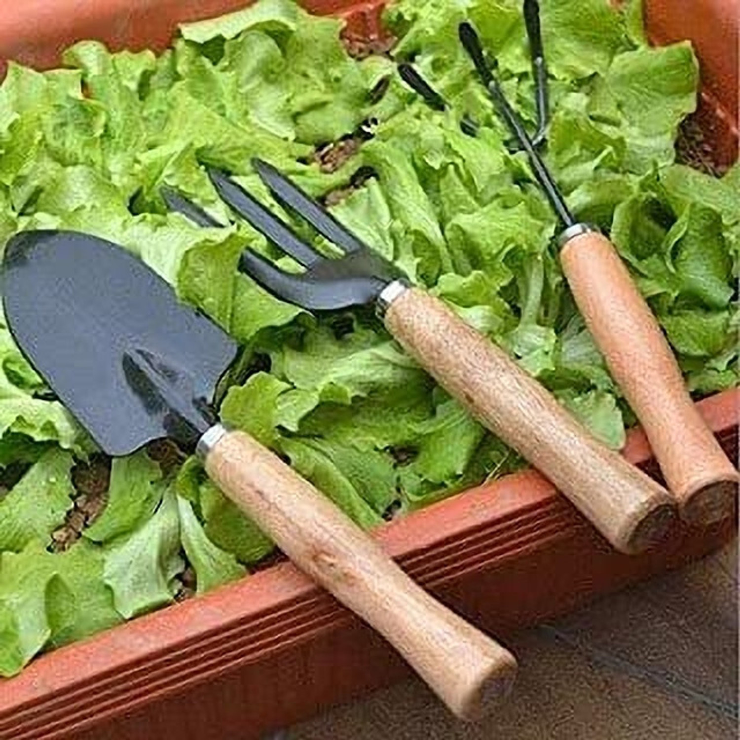 Image of DeoDap Garden Tool Set | Garden Tools Wooden Handle | Gardening Tools Kit( Hand Cultivator, Big Trowel, Garden Fork) 03 Garden Tool Kit