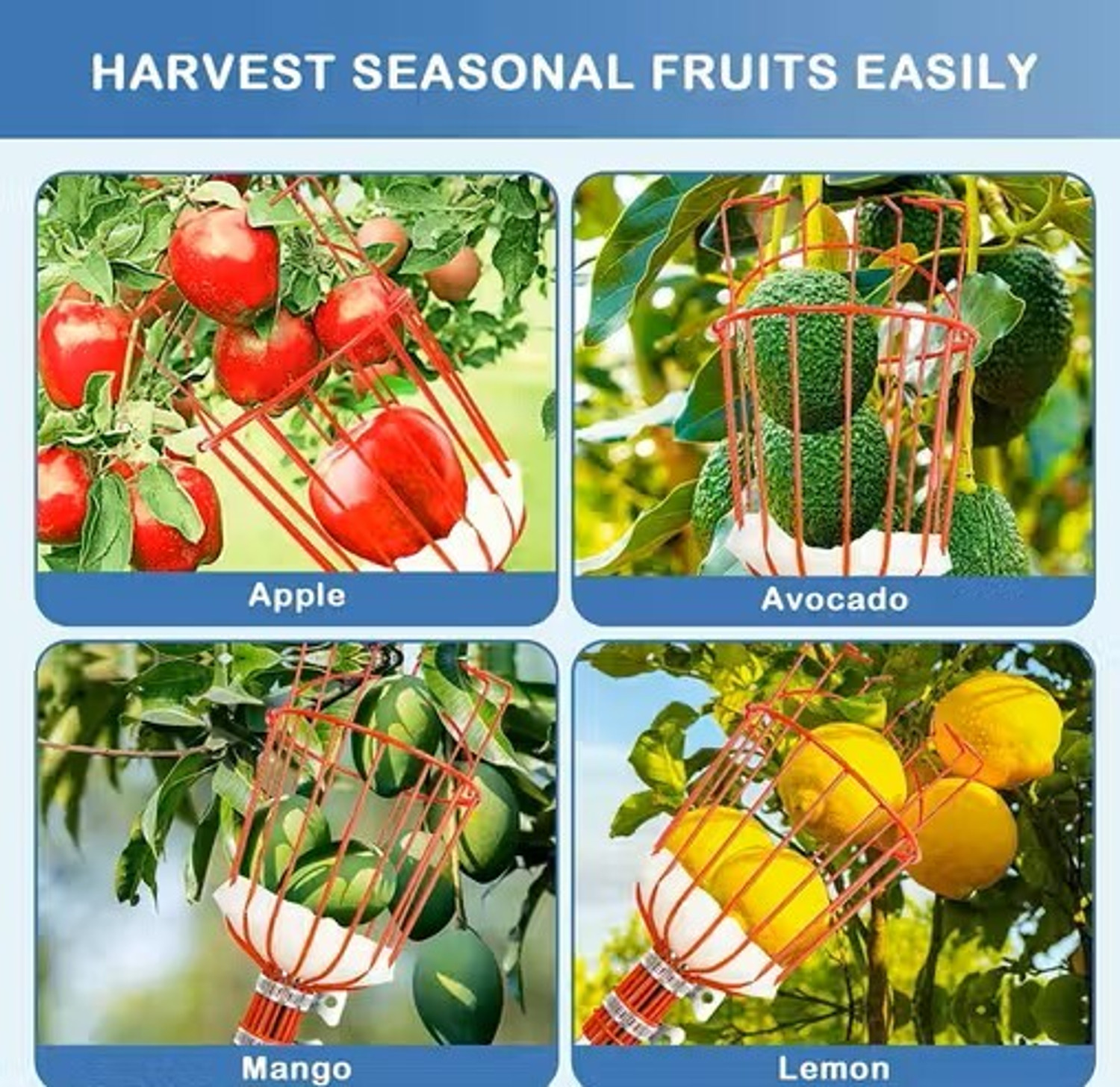 Image of SAS Fruit Picker Head | Fruit and Mango Plucker Basket for Tree Harvesting Garden Garden Tool Kit