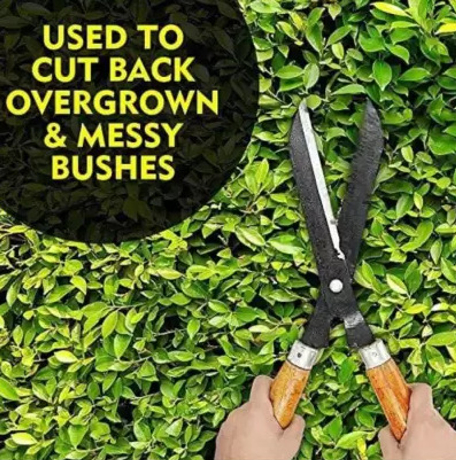 Image of AGT Pruning Scissors Hedge Shears with Long Wooden Handle for Garden Garden Tool Kit
