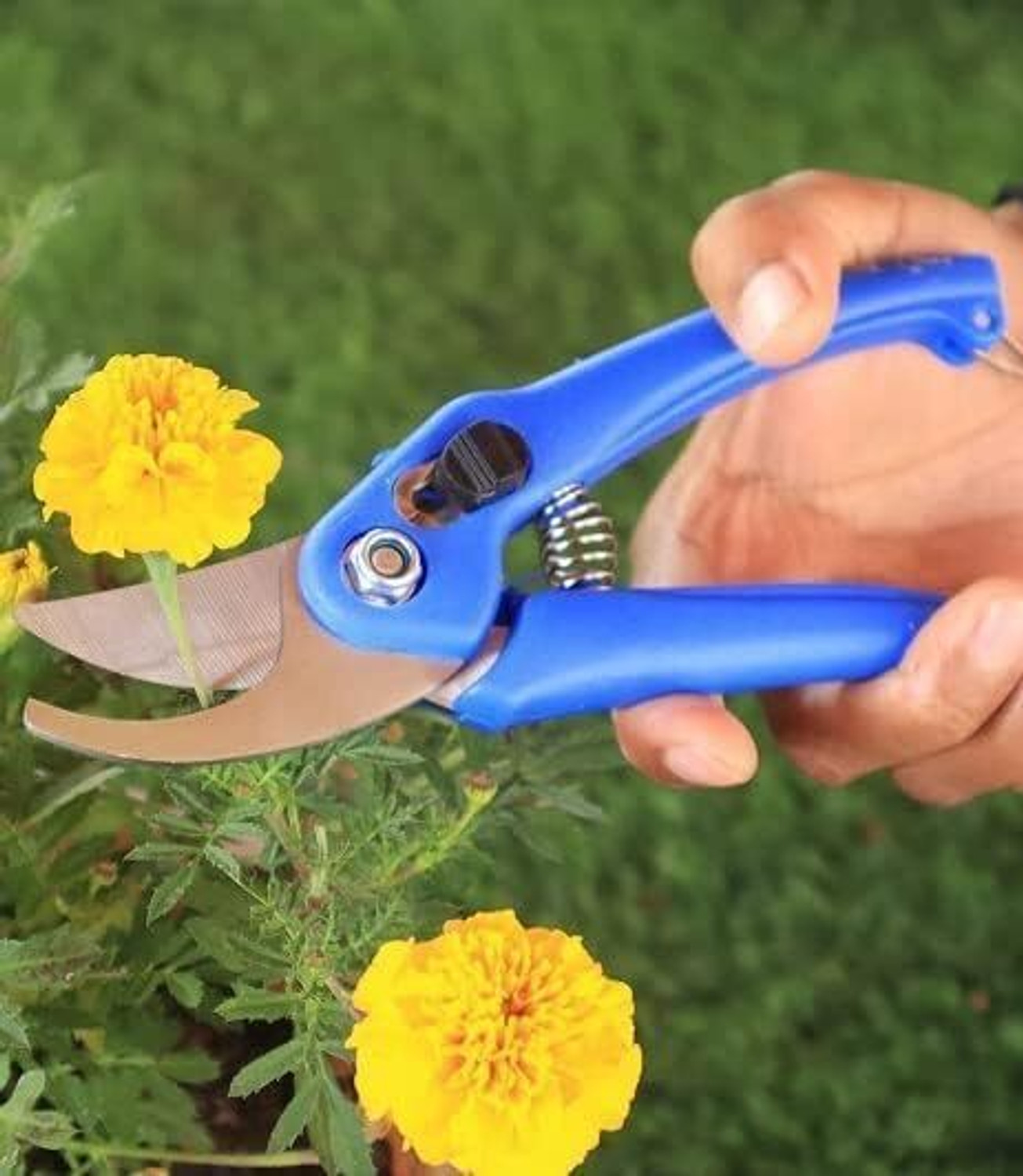 Image of AARAV Plant Cutter and Garden Scissor - Combo Set of 2 Pcs Garden Tool Kit