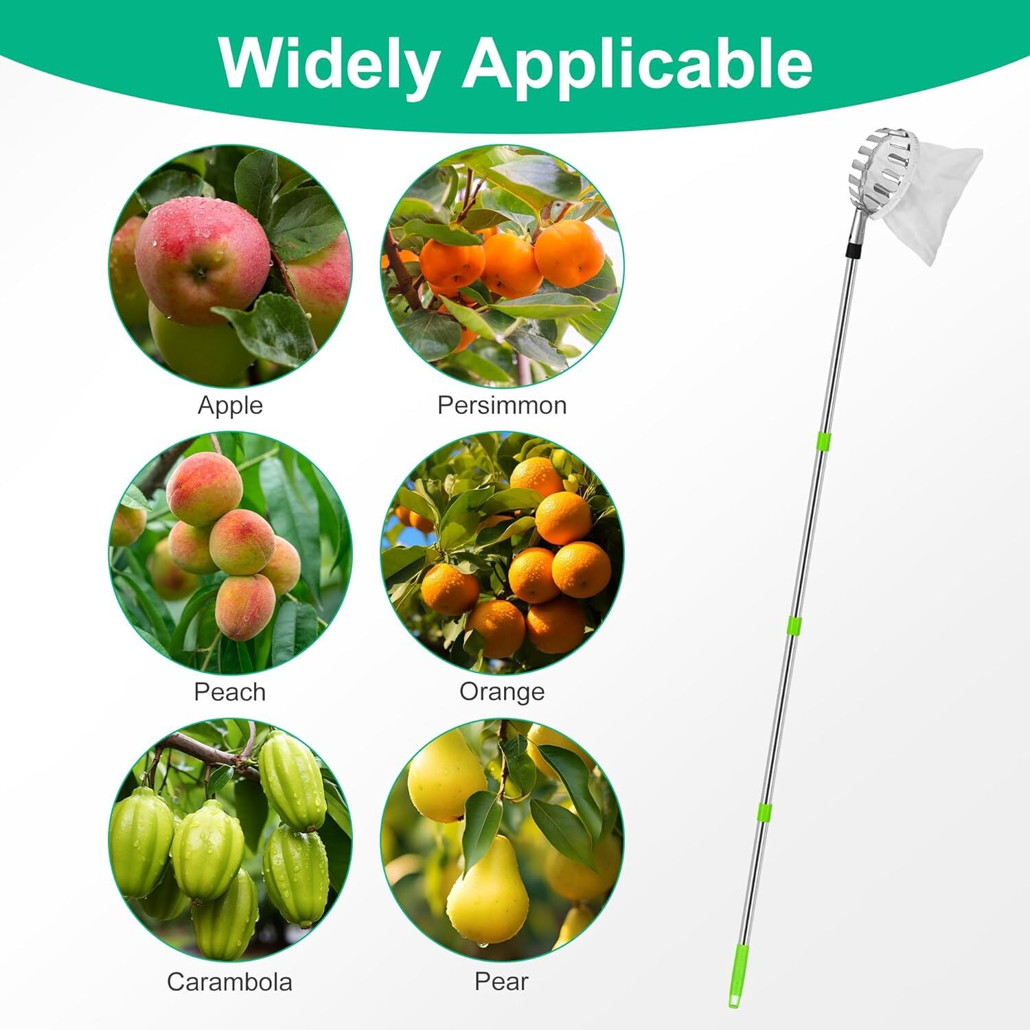 Image of SK ORGANIC Fruit Picker 1 Garden Tool Kit