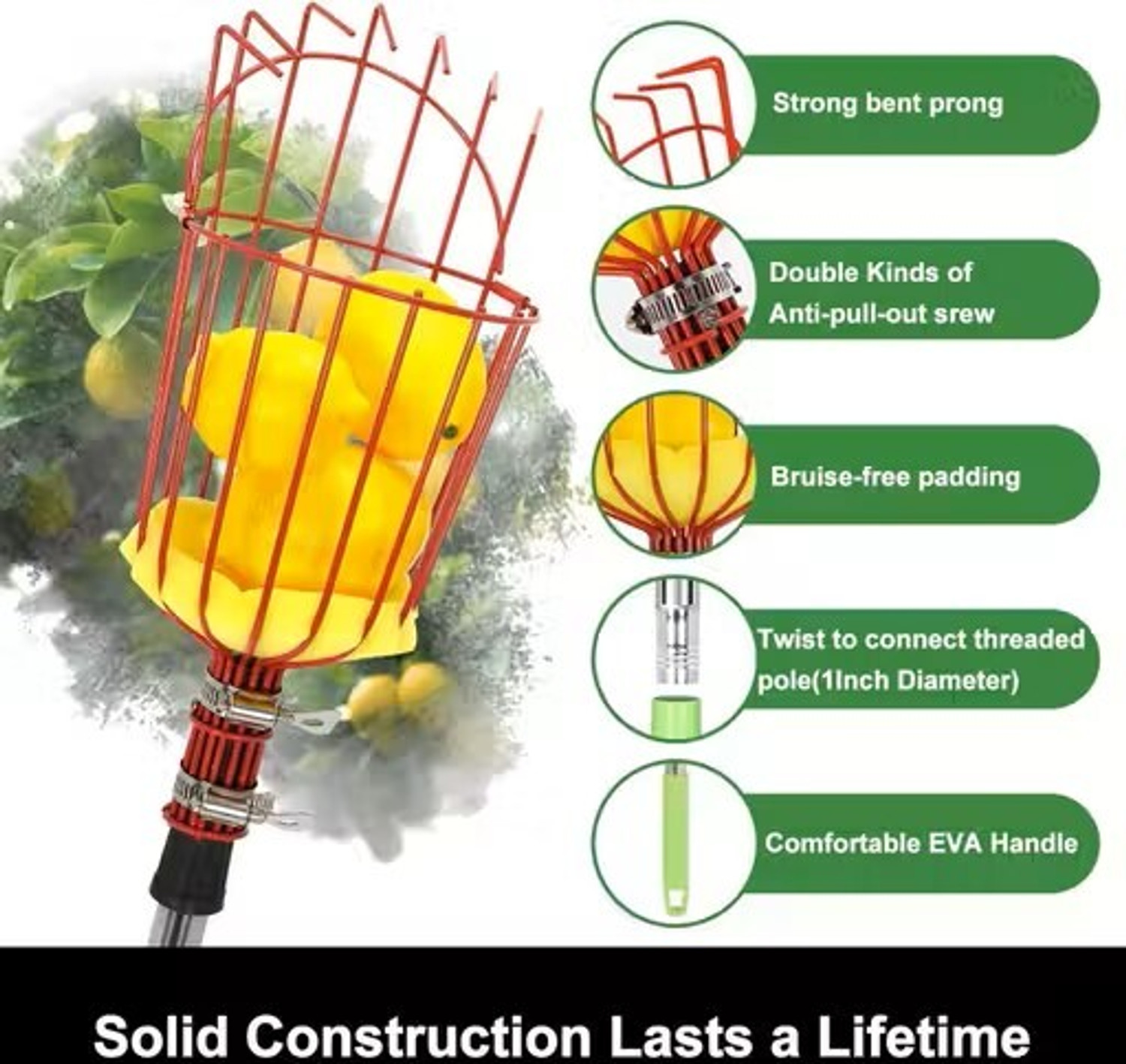 Image of SAS Fruit Picker Head | Fruit and Mango Plucker Basket for Tree Harvesting Garden Garden Tool Kit
