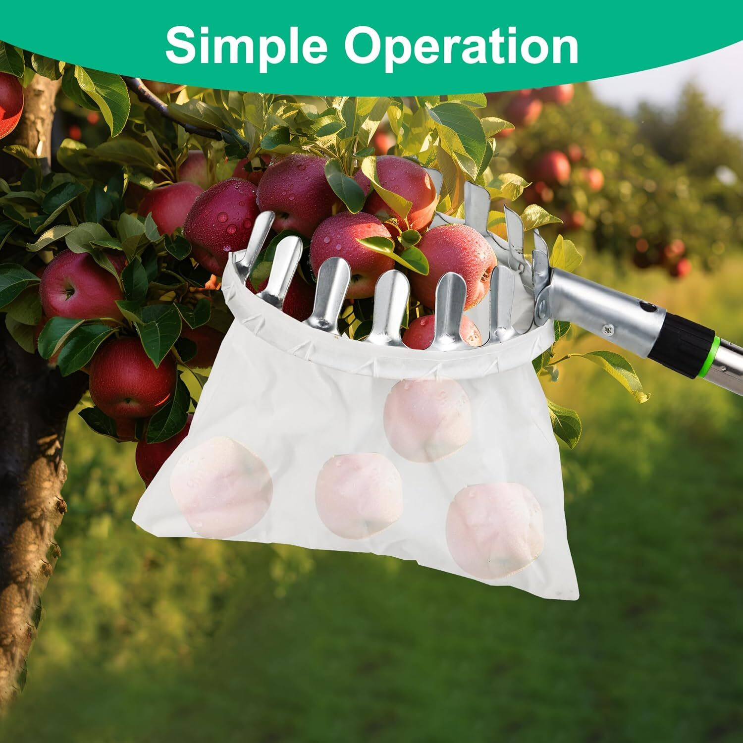 Image of SK ORGANIC Fruit Picker 1 Garden Tool Kit