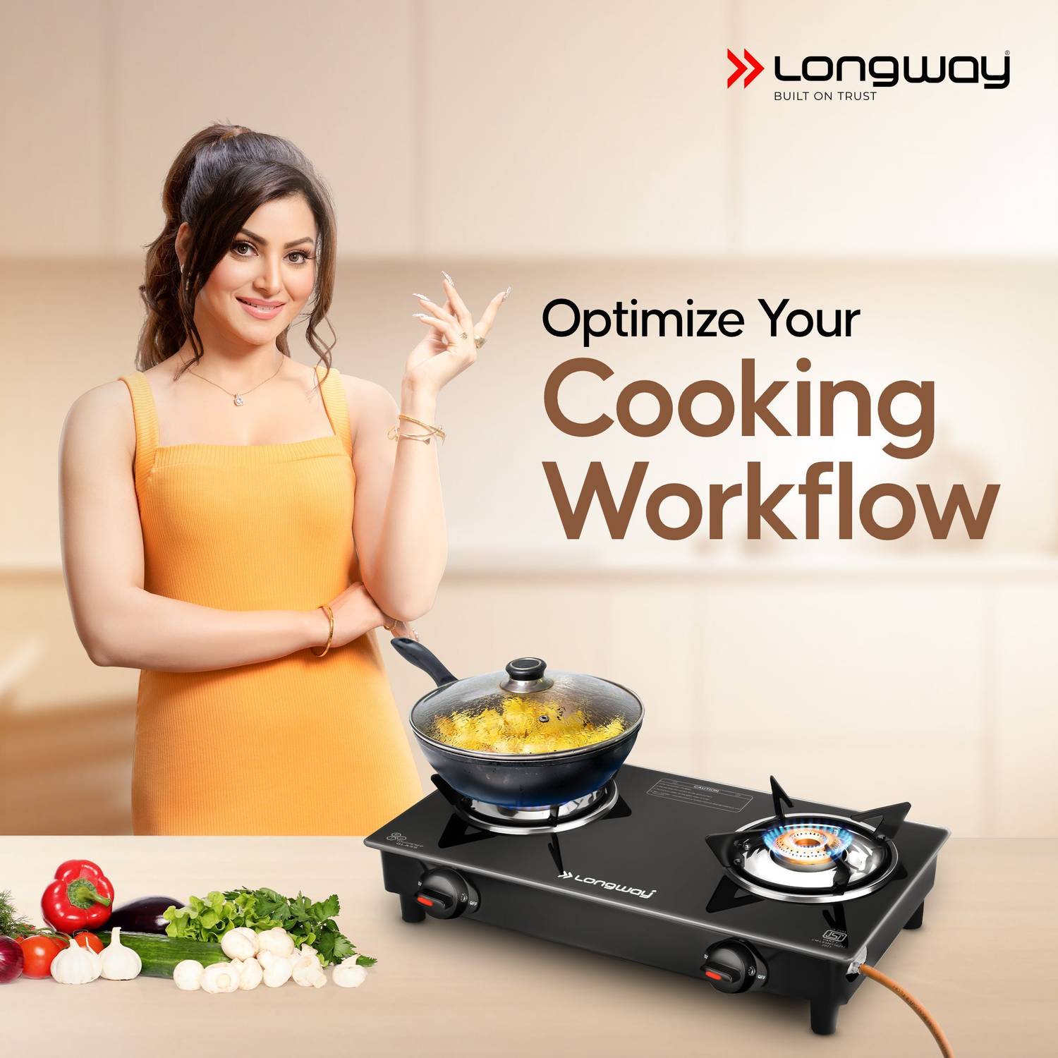 Longway Furn-Manual-2B Stainless Steel Gas Stove - Image 2
