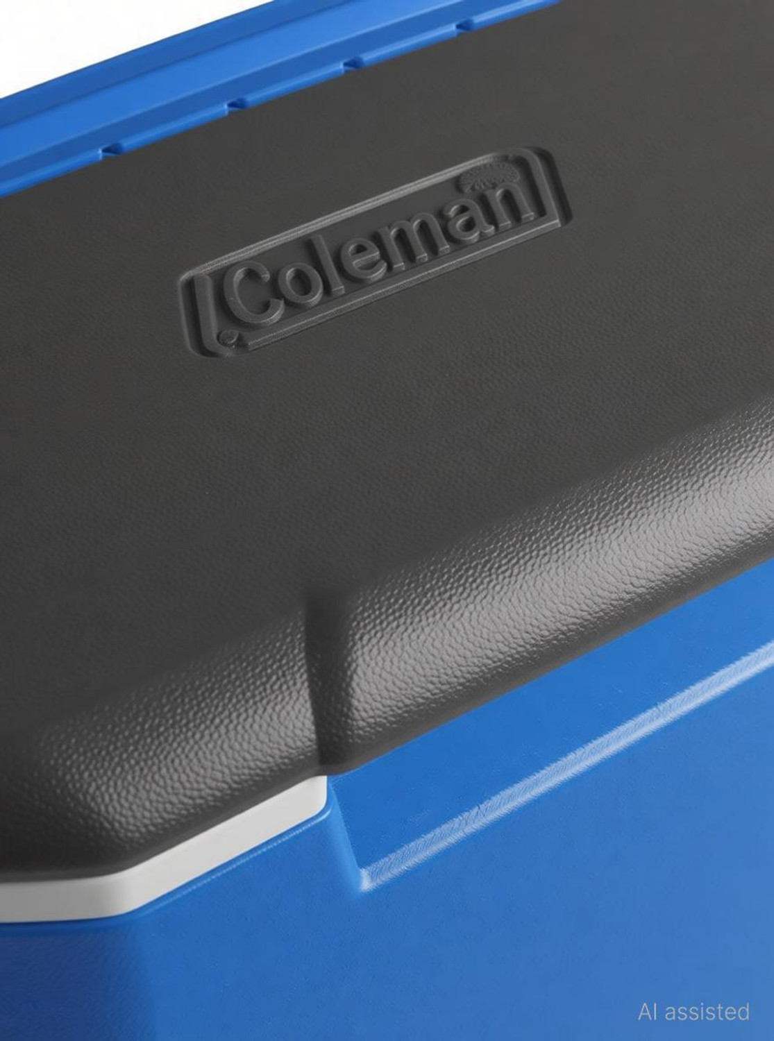 Image of COLEMAN Excursion 16 QT with Ice Retention Upto 1 Days