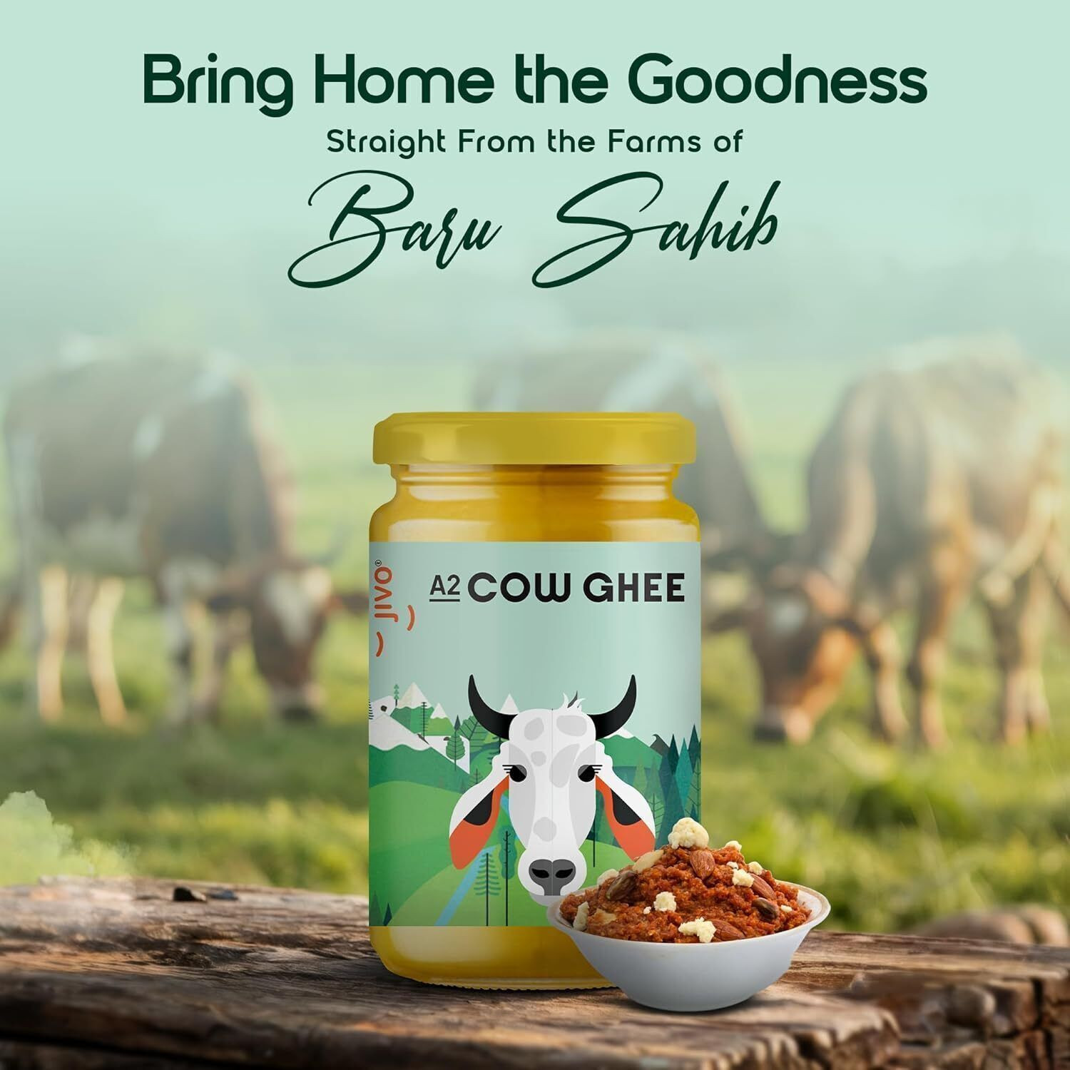 Image of JIVO A2 Ghee Pure, Natural & Healthy Ghee Glass Bottle Ghee Glass Bottle