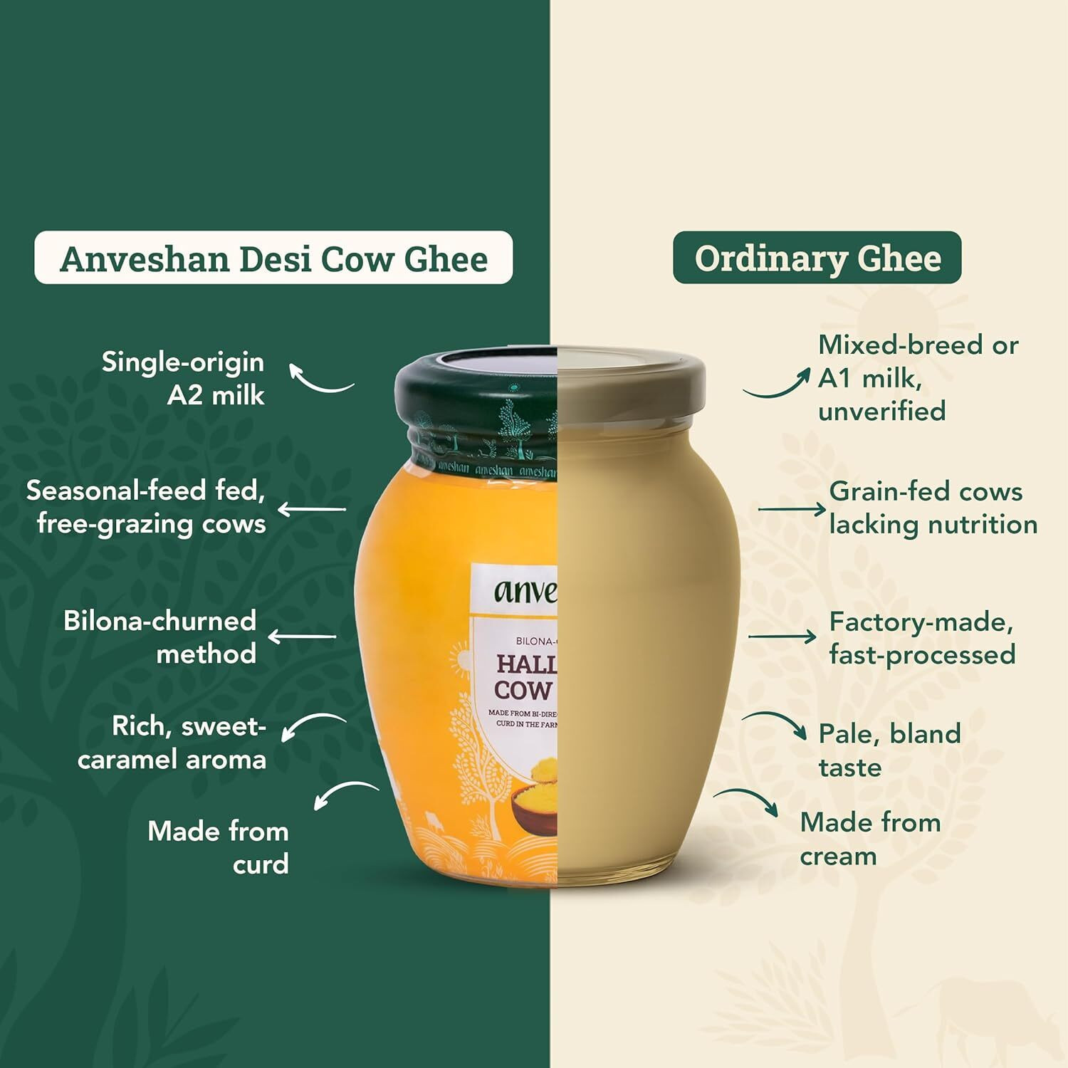 Image of Anveshan A2 Desi Cow Mason Jar