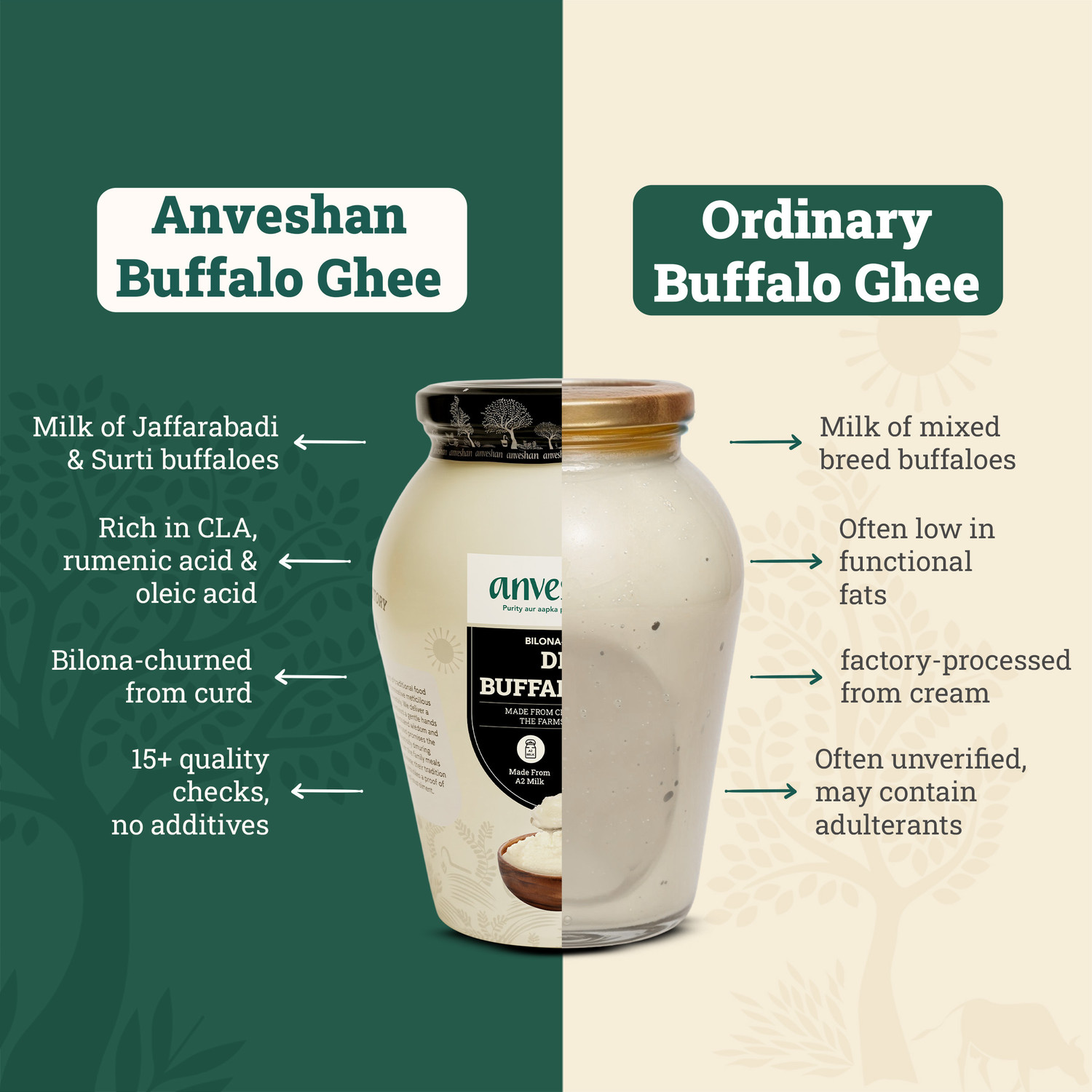 Image of Anveshan Grass Fed Bilona Buffalo Ghee Mason Jar