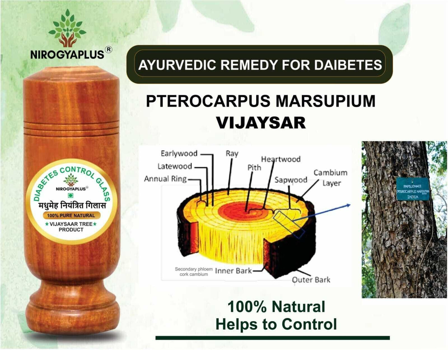 Image of Nirogyaplus (Pack of 2) Diabetes / Sugar Control Glass 100% Natural Made By Vijaysaar Tree (Pack of 2) Glass Set Water /Juice Glass