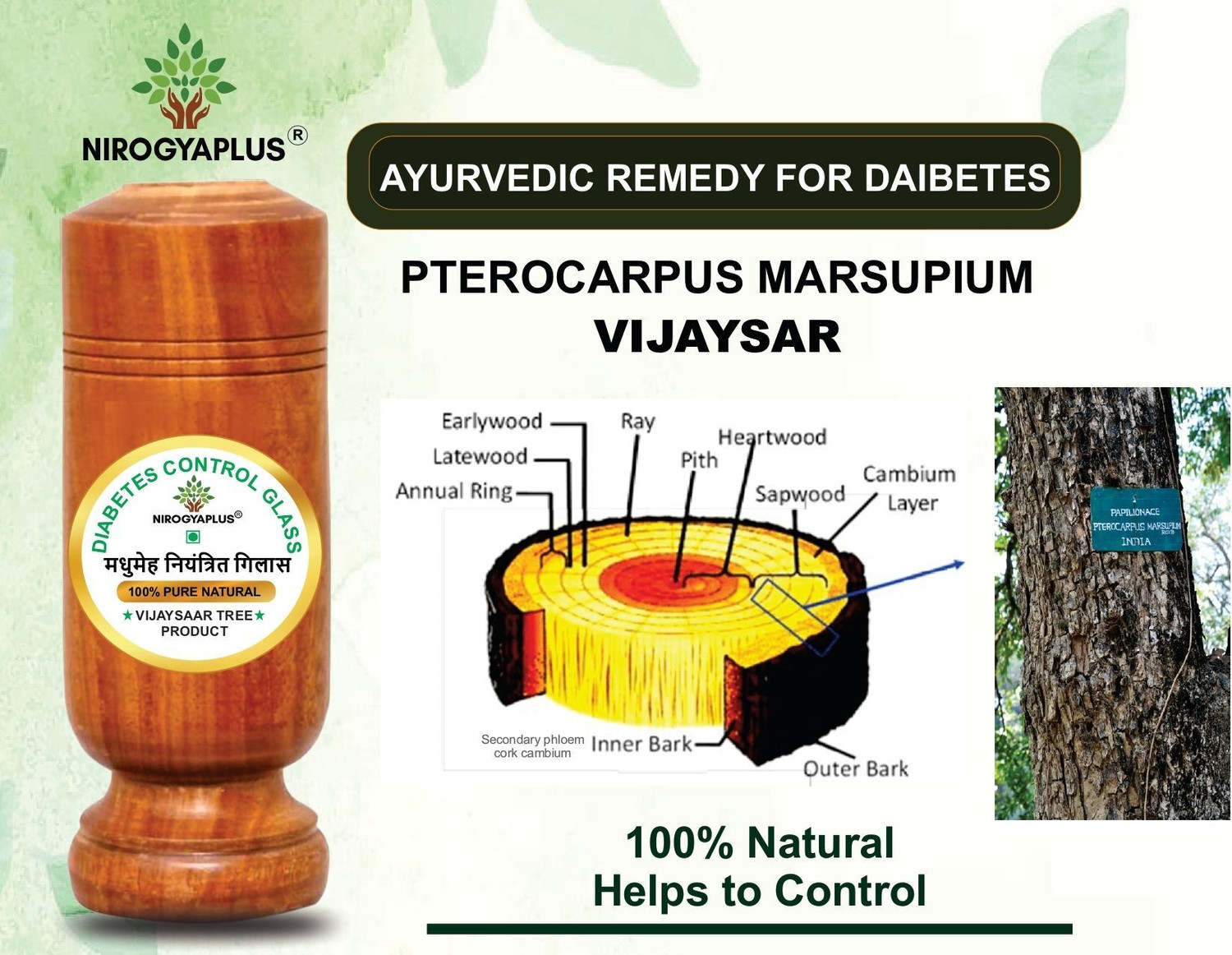 Image of OneClick Wooden Sugar Control Home Remedy Vijaysar Herbal Tumbler Glass 100 ML P1 Glass Water /Juice Glass