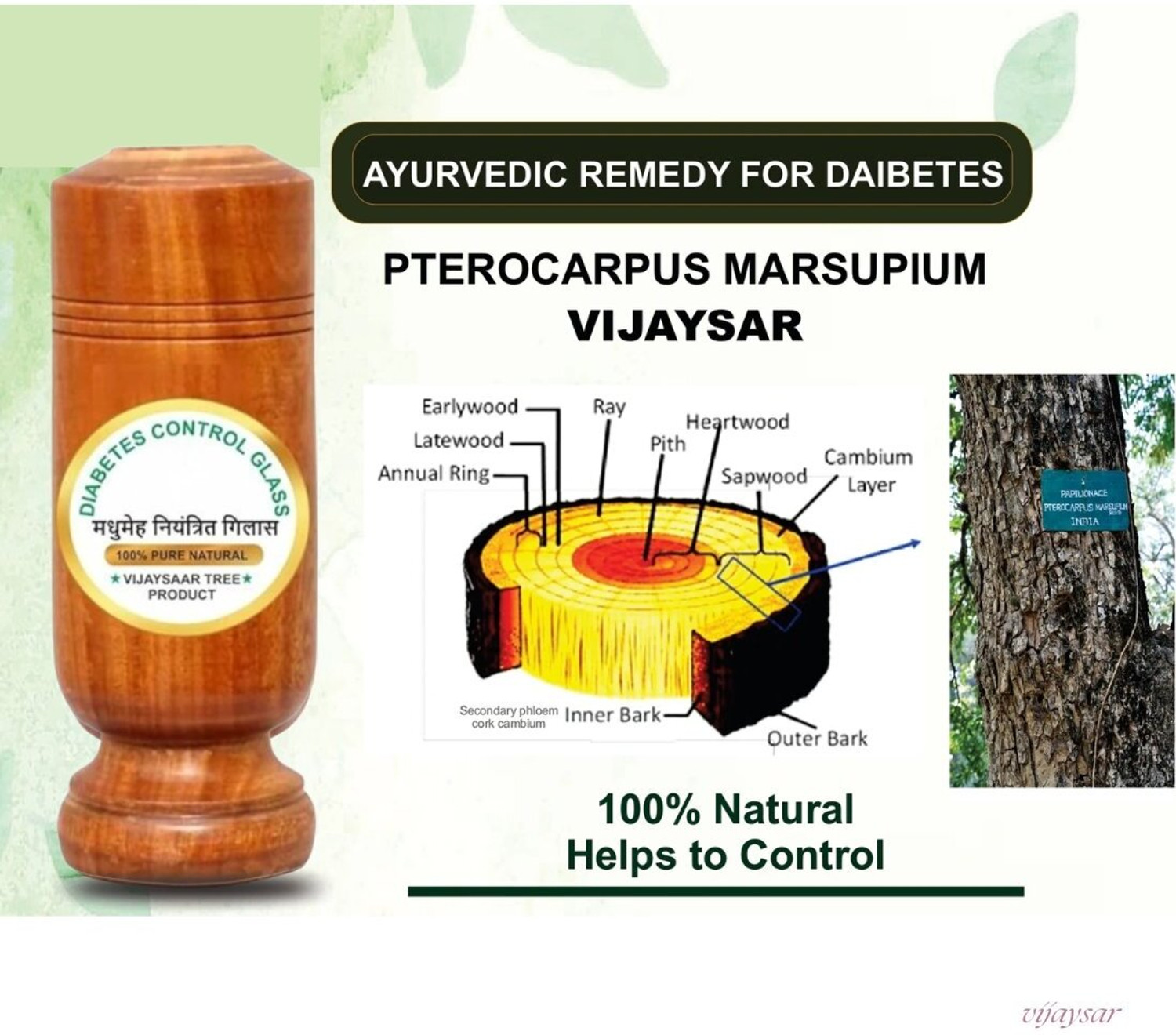 Image of Vijaysar Wooden Glass - Daily Cup Touch For Balanced Habits Glass Water /Juice Glass
