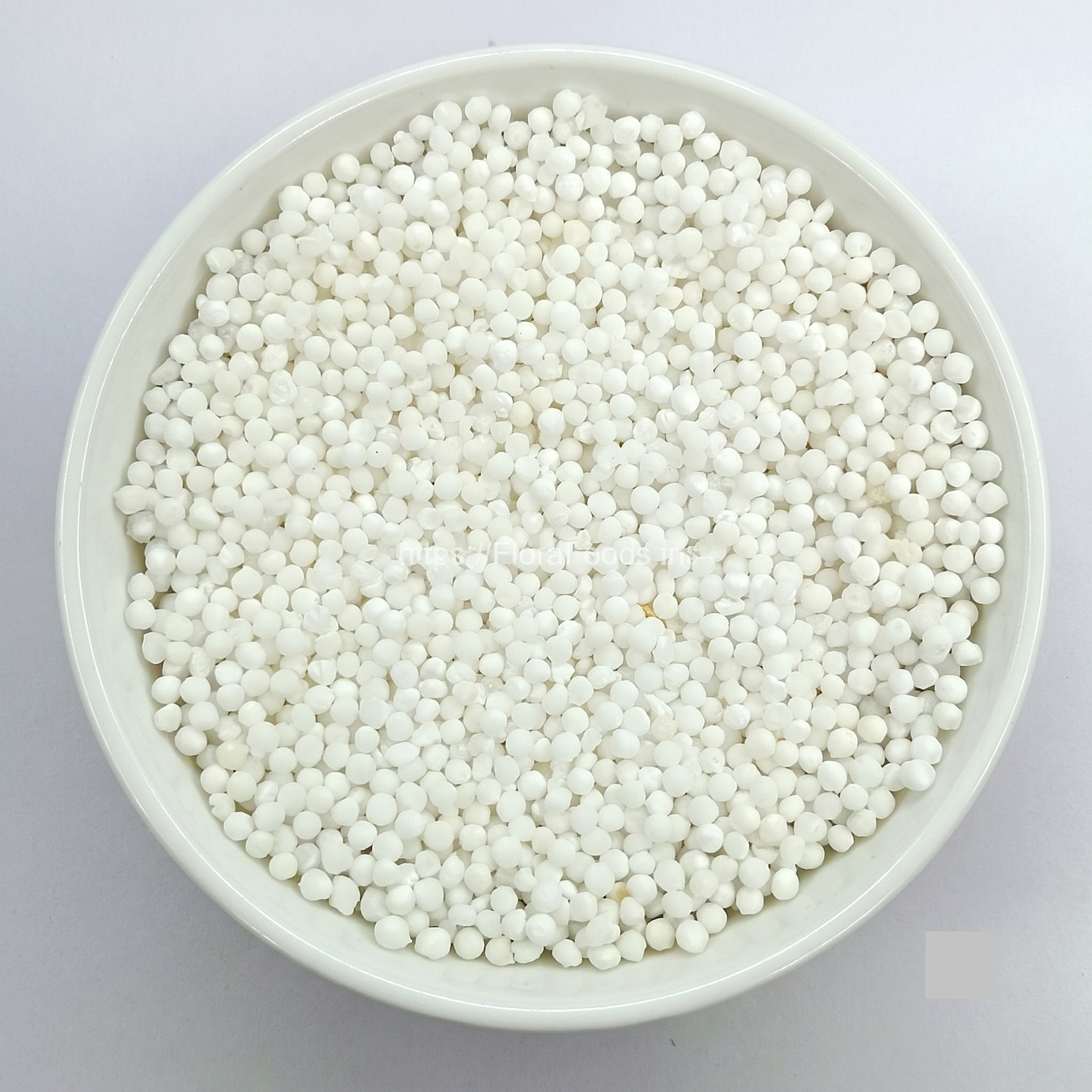 Image of Sabudana Medium / Sago
